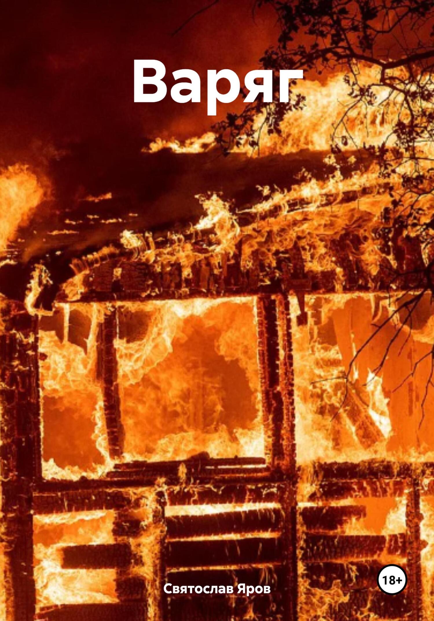 читать Варяг