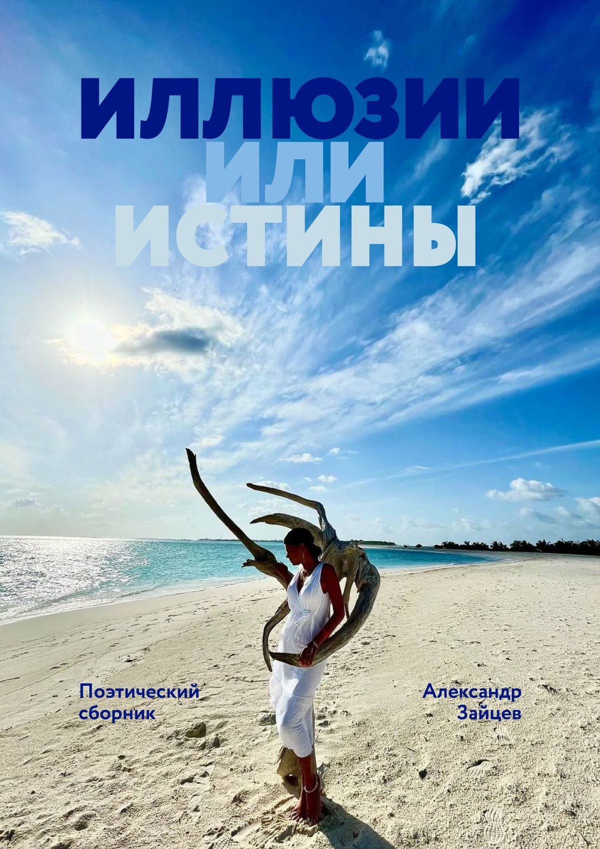 читать Иллюзии или истины. Поэтический сборник