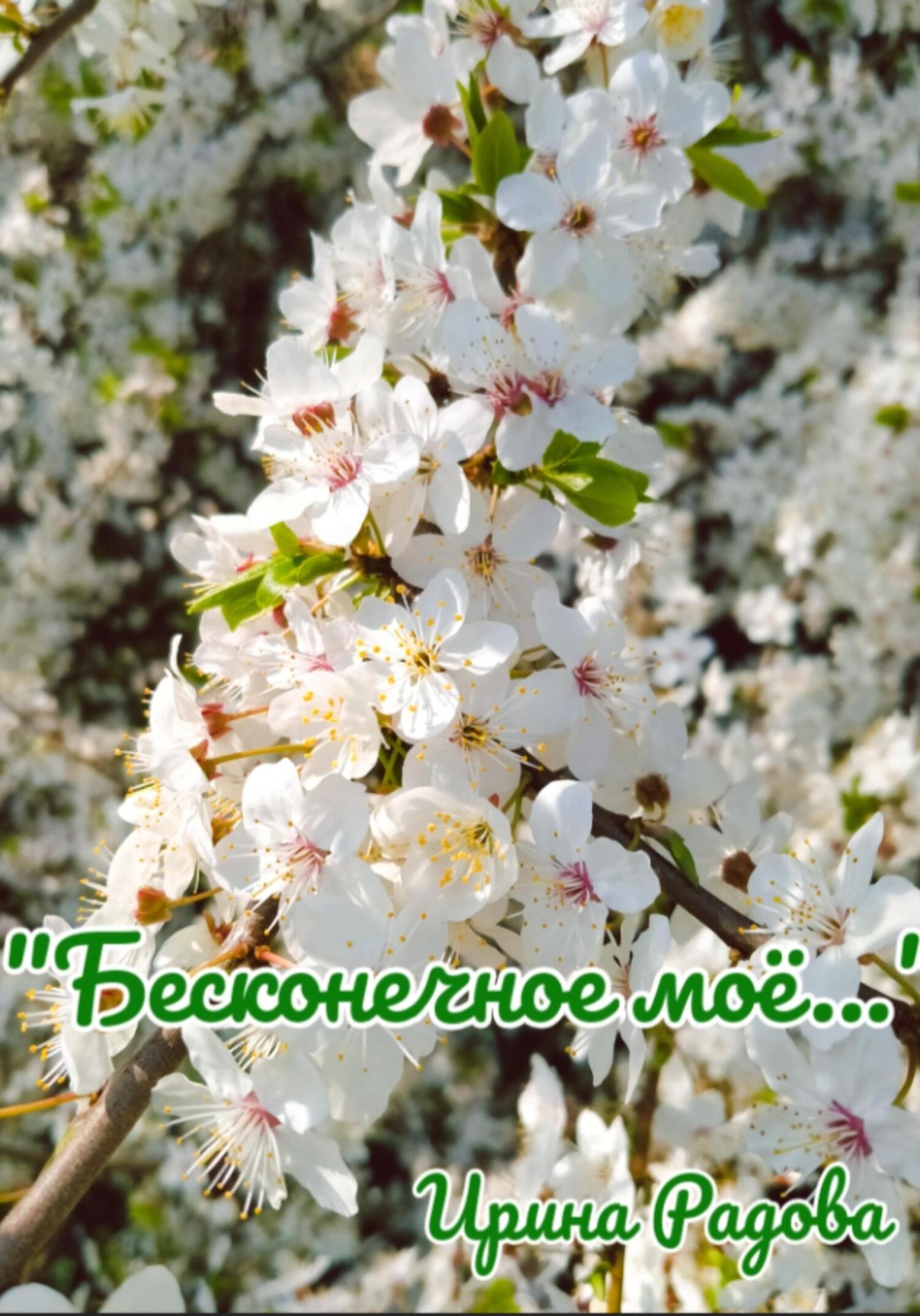 читать Бесконечное моё…