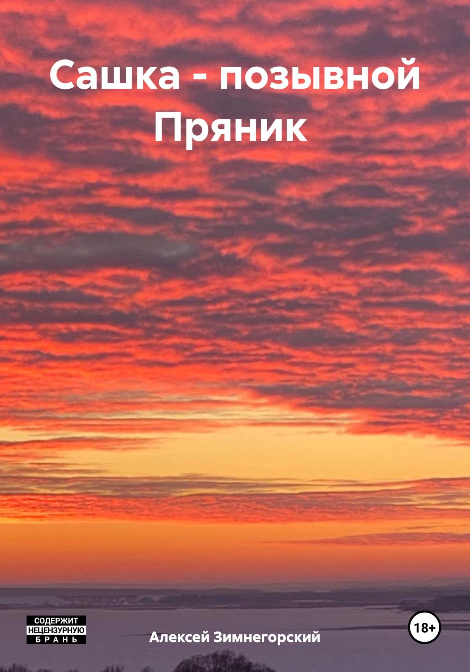 читать Сашка – позывной Пряник