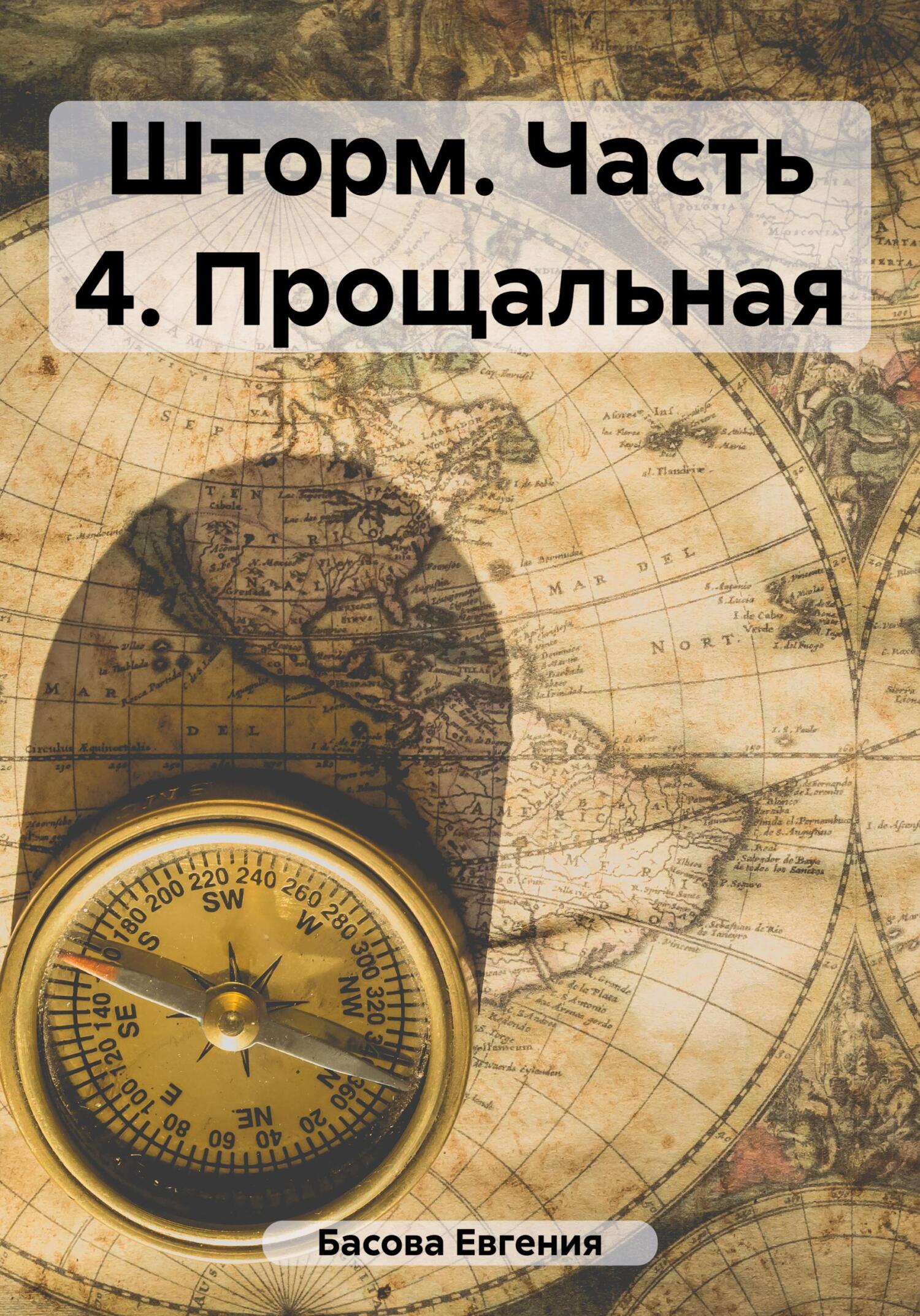 читать Шторм. Часть 4. Прощальная
