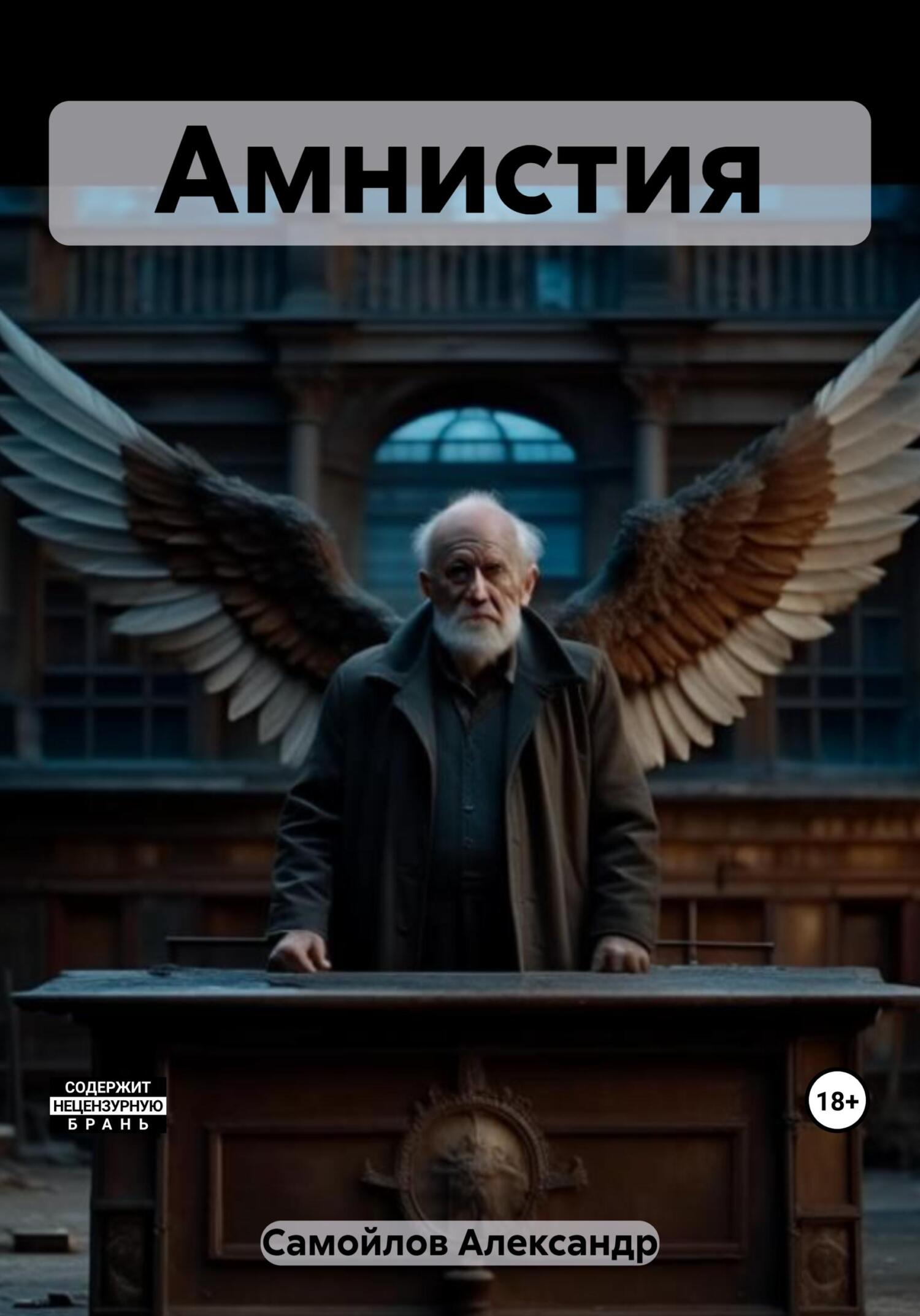 читать Амнистия