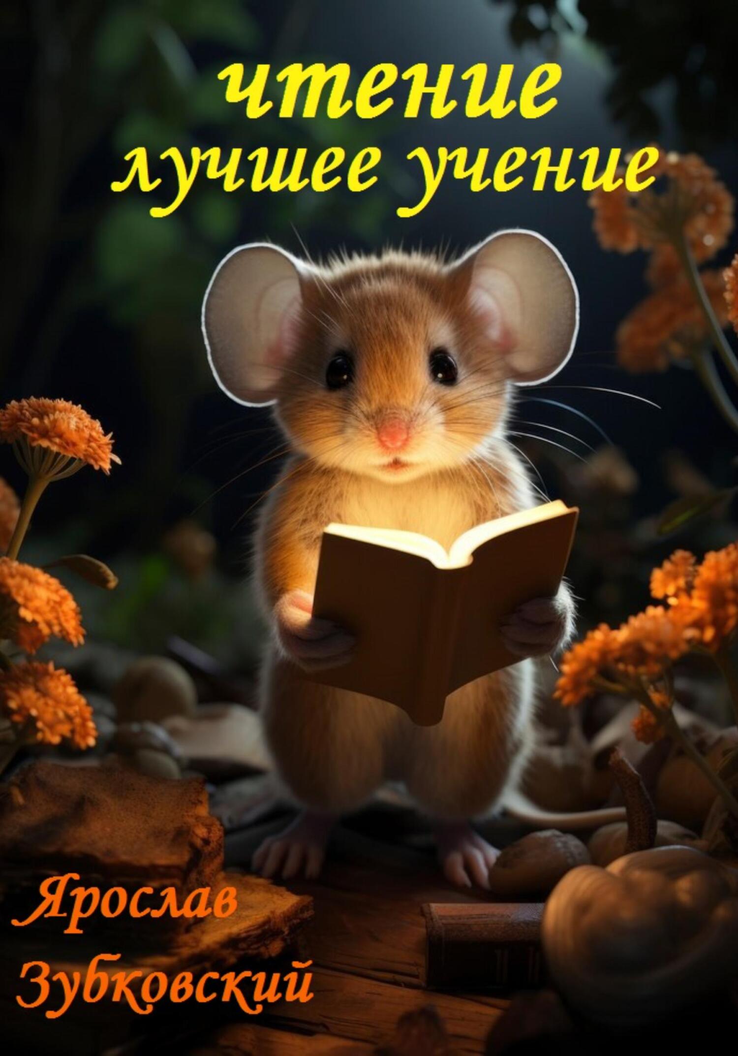 читать Чтение лучшее учение