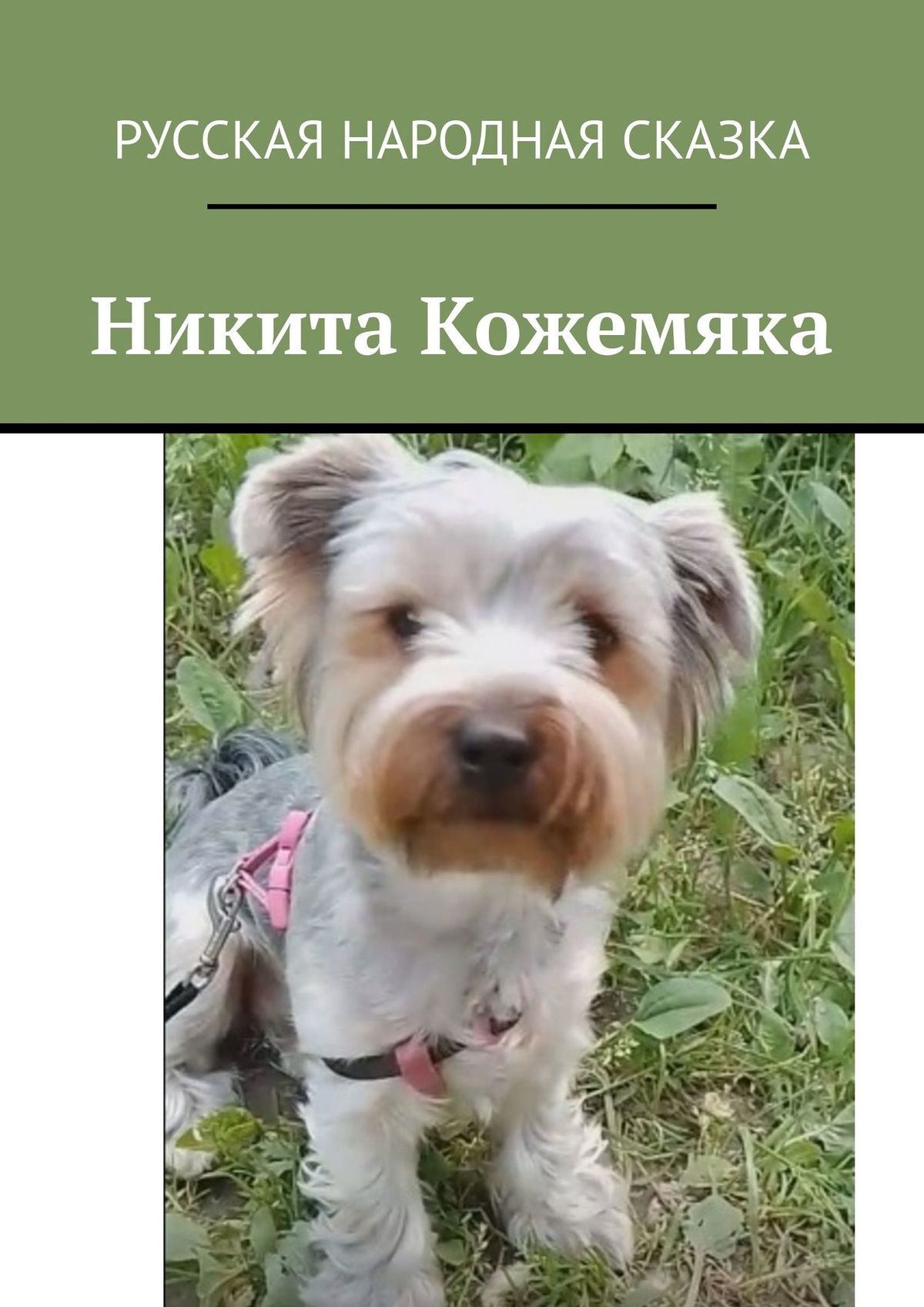 читать Никита Кожемяка