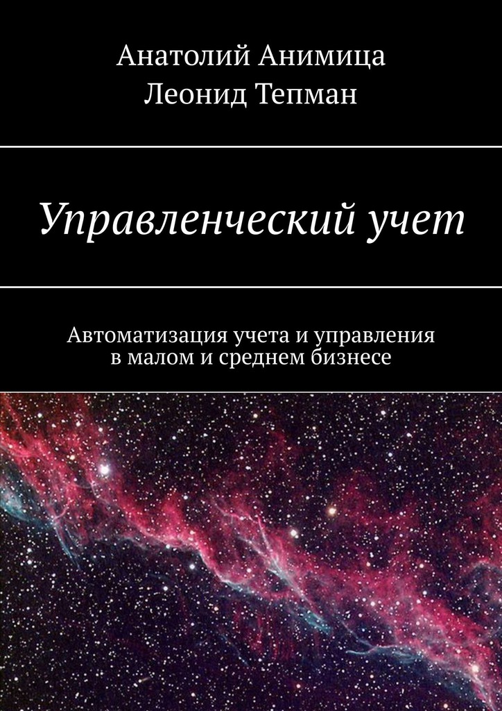 читать Управленческий учет. Автоматизация учета и управления в малом и среднем бизнесе