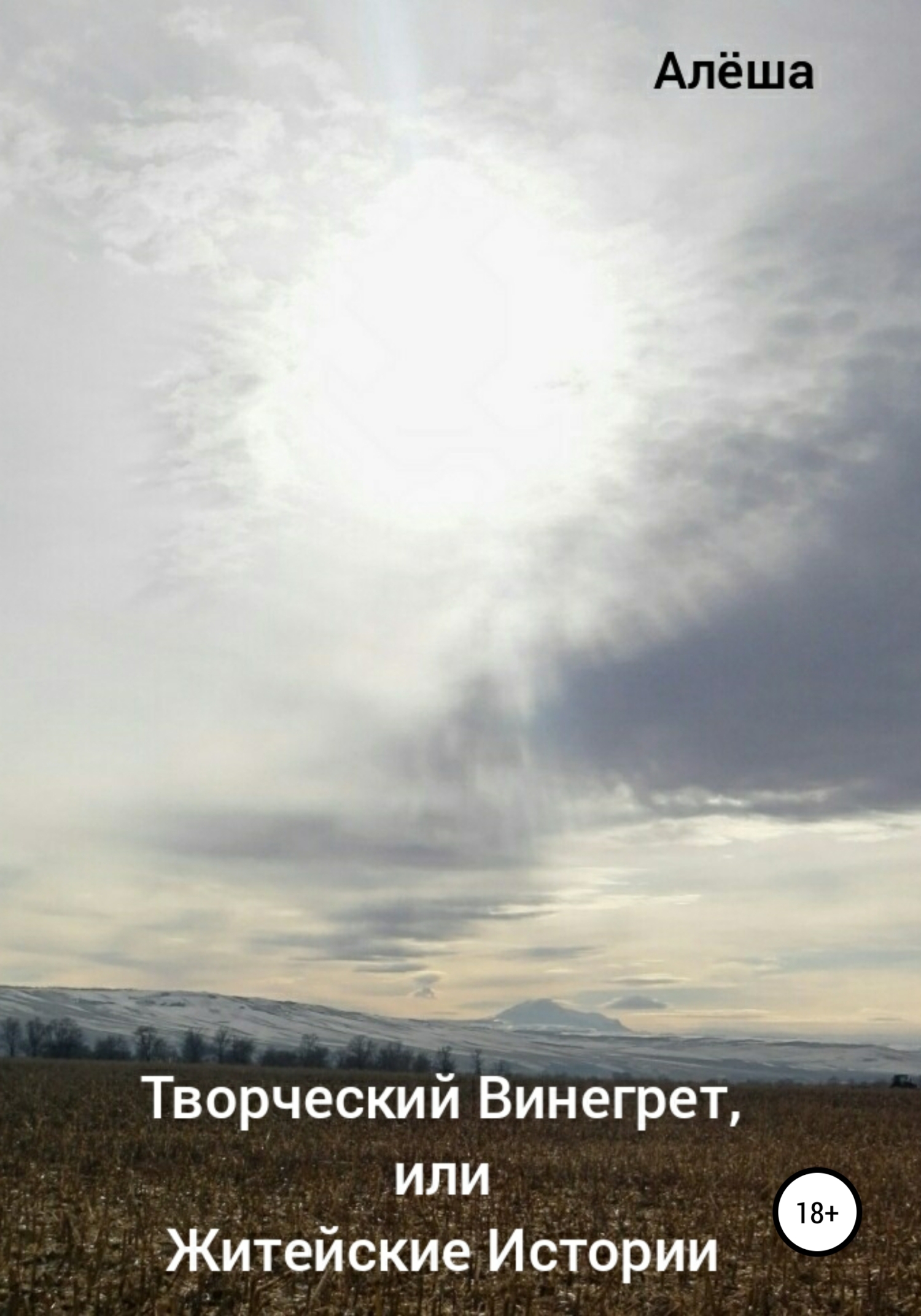 читать Творческий винегрет, или Житейские истории