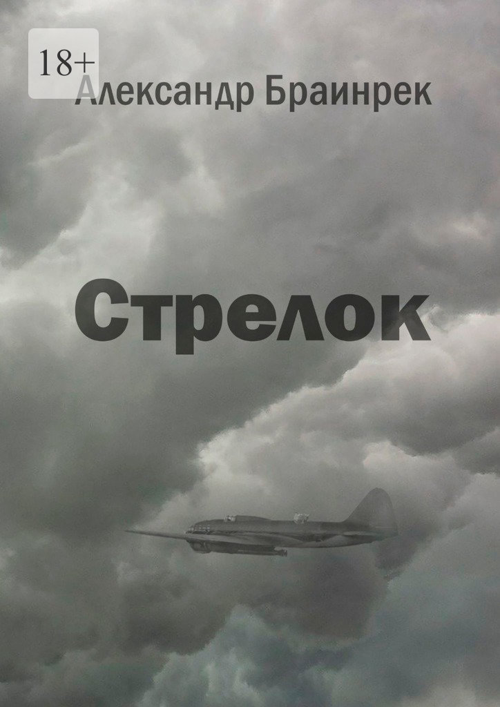 читать Стрелок