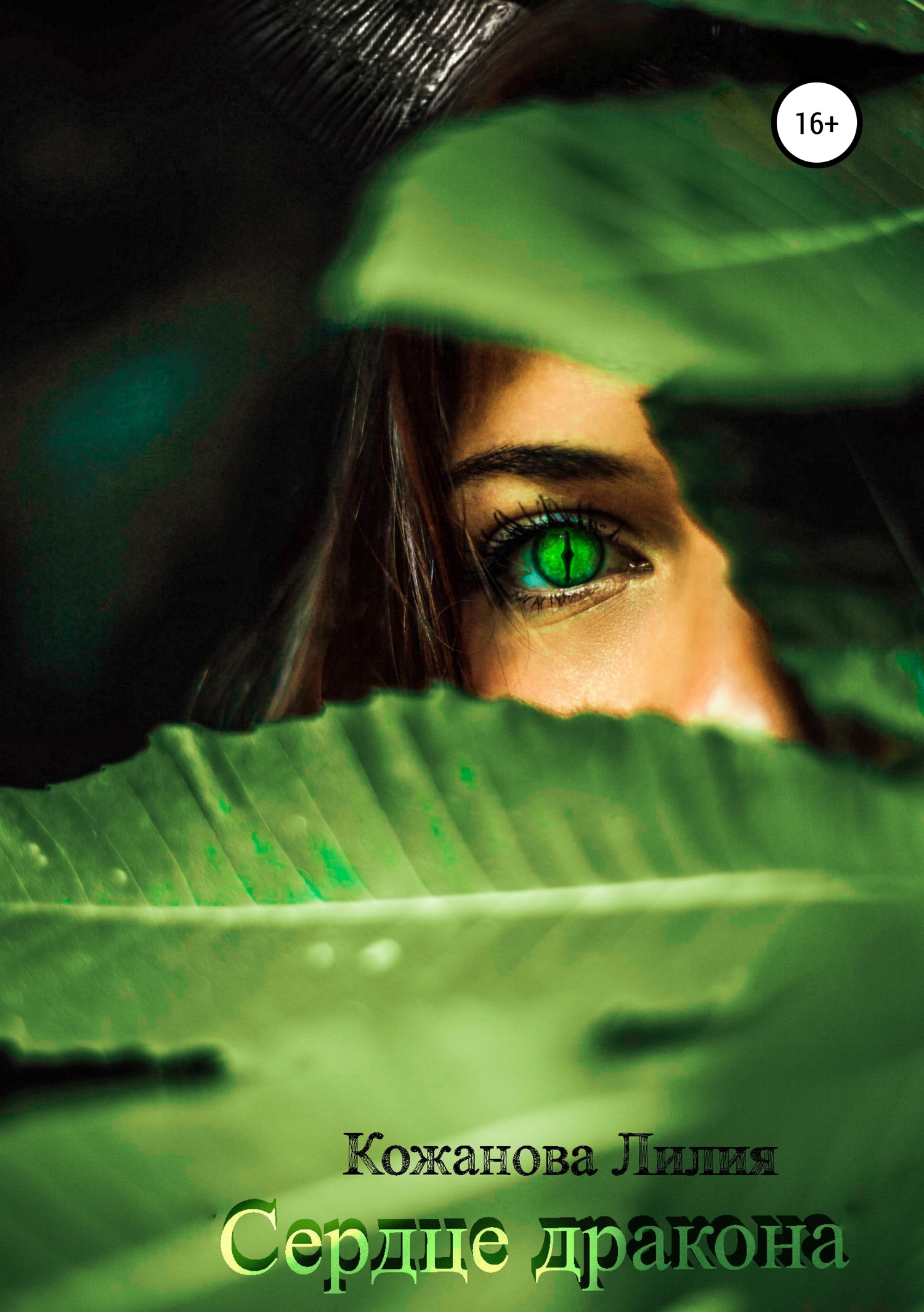 читать Сердце дракона