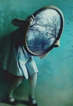 читать Зеркальный феномен