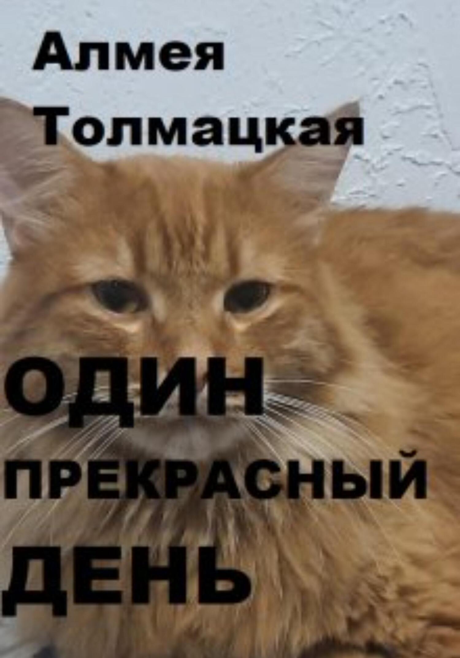 читать Один прекрасный день