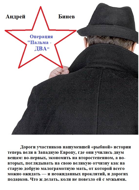 читать Операция «Пальма-два», или Большое плавание рыбаков