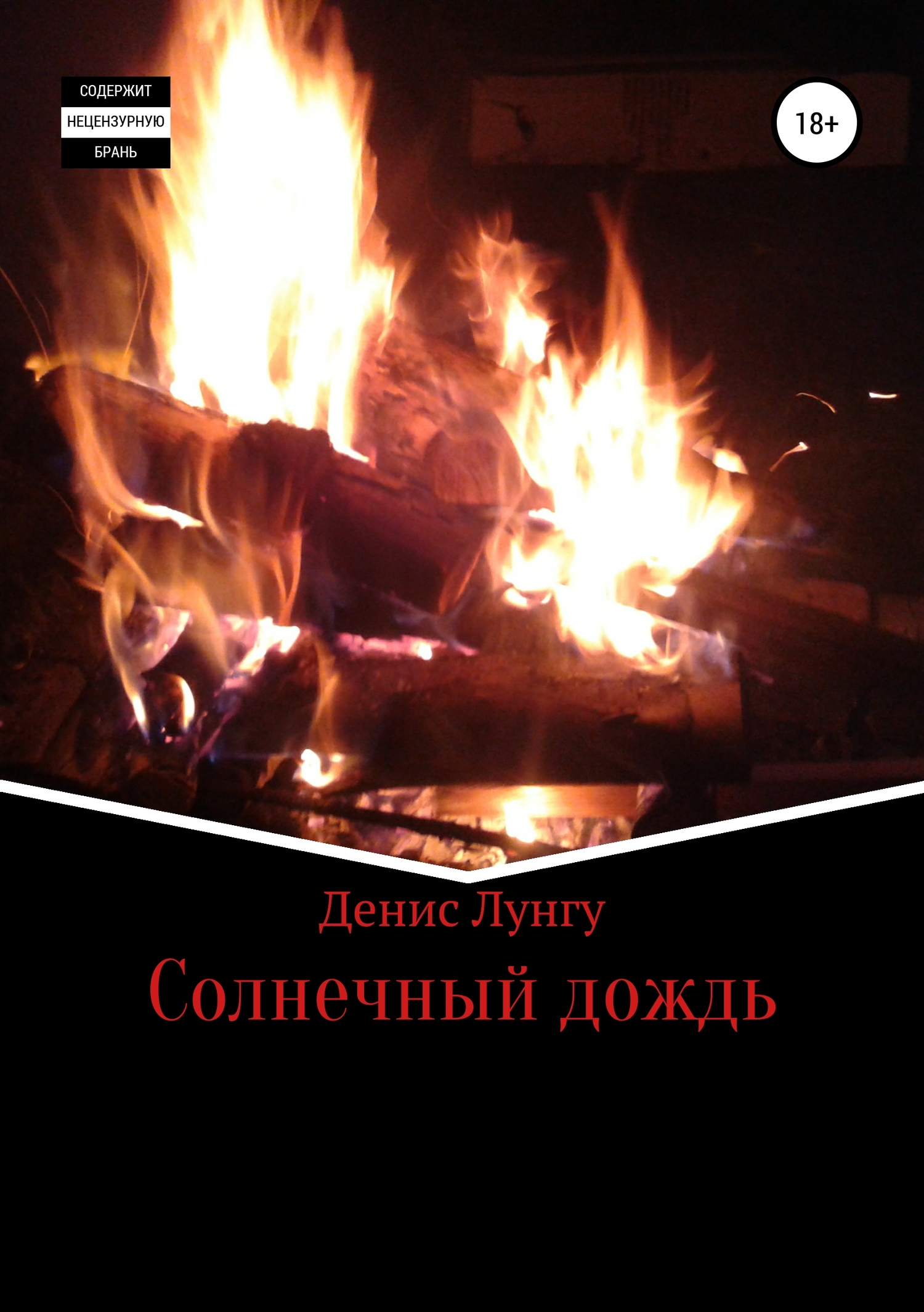 читать Солнечный дождь