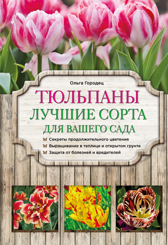 читать Тюльпаны для вашего сада