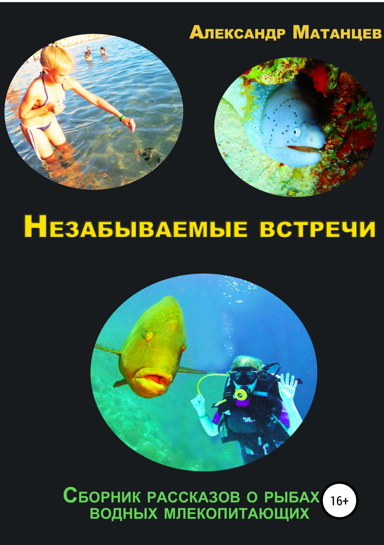 читать Незабываемые встречи. Сборник рассказов о рыбах и водных млекопитающих