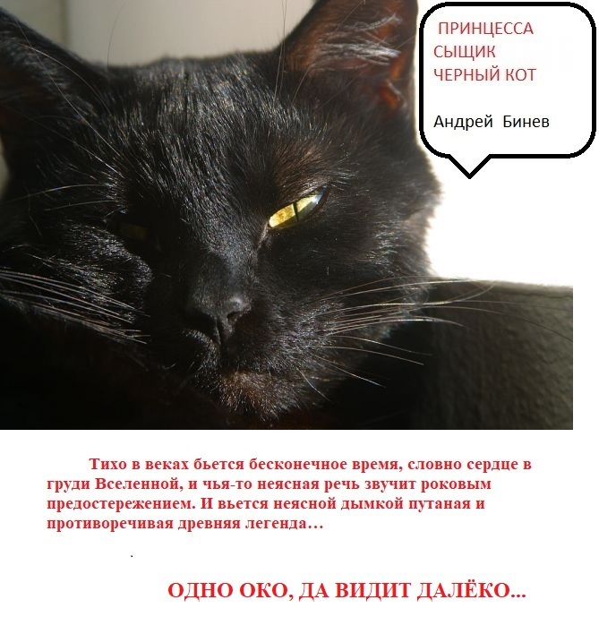 читать Принцесса, сыщик и черный кот