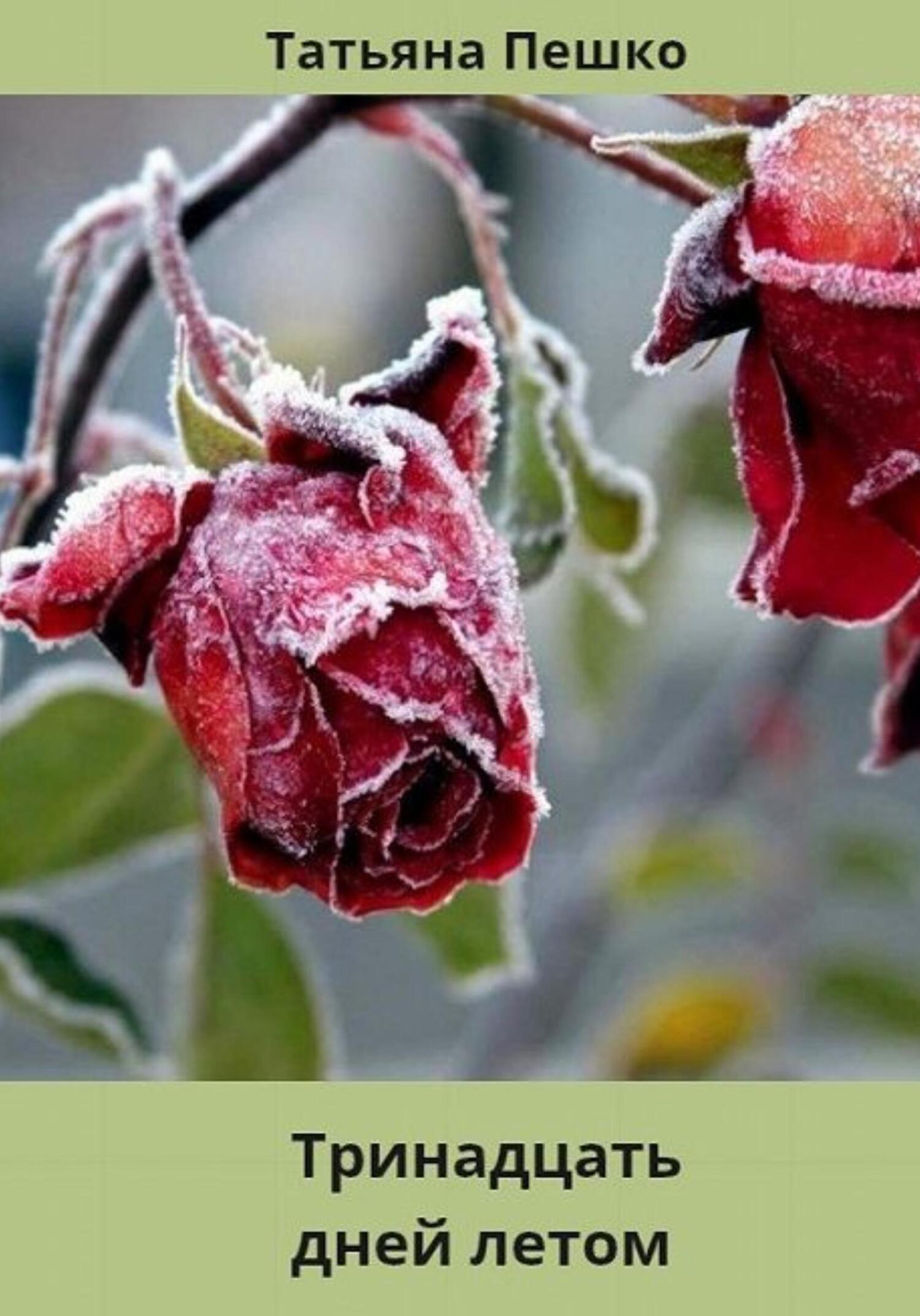 читать Тринадцать дней летом