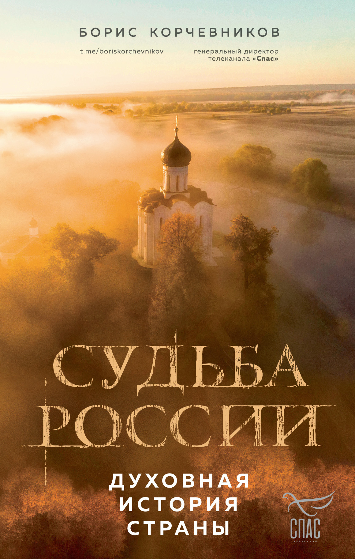 читать Судьба России. Духовная история страны