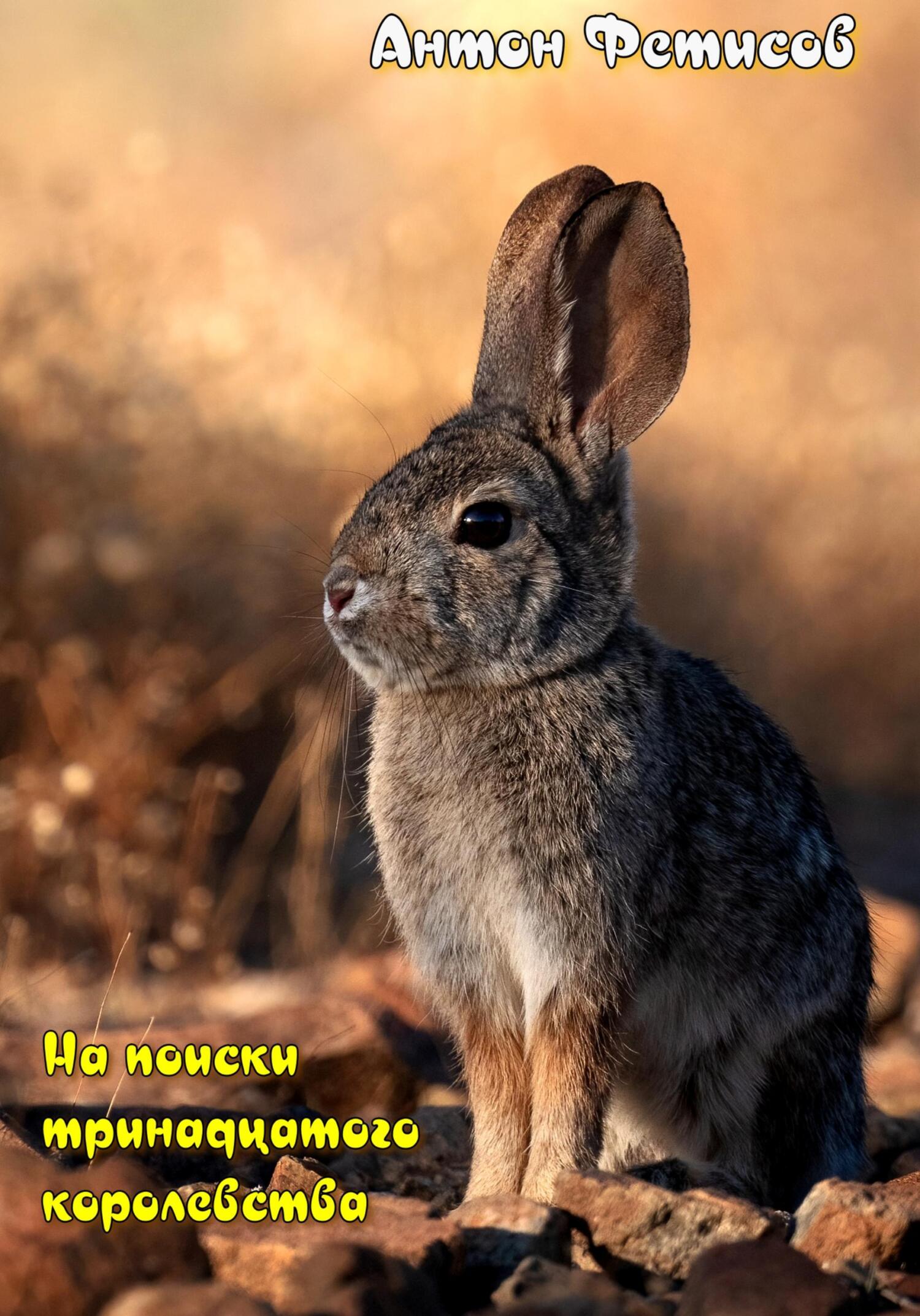 читать На поиски тринадцатого королевства