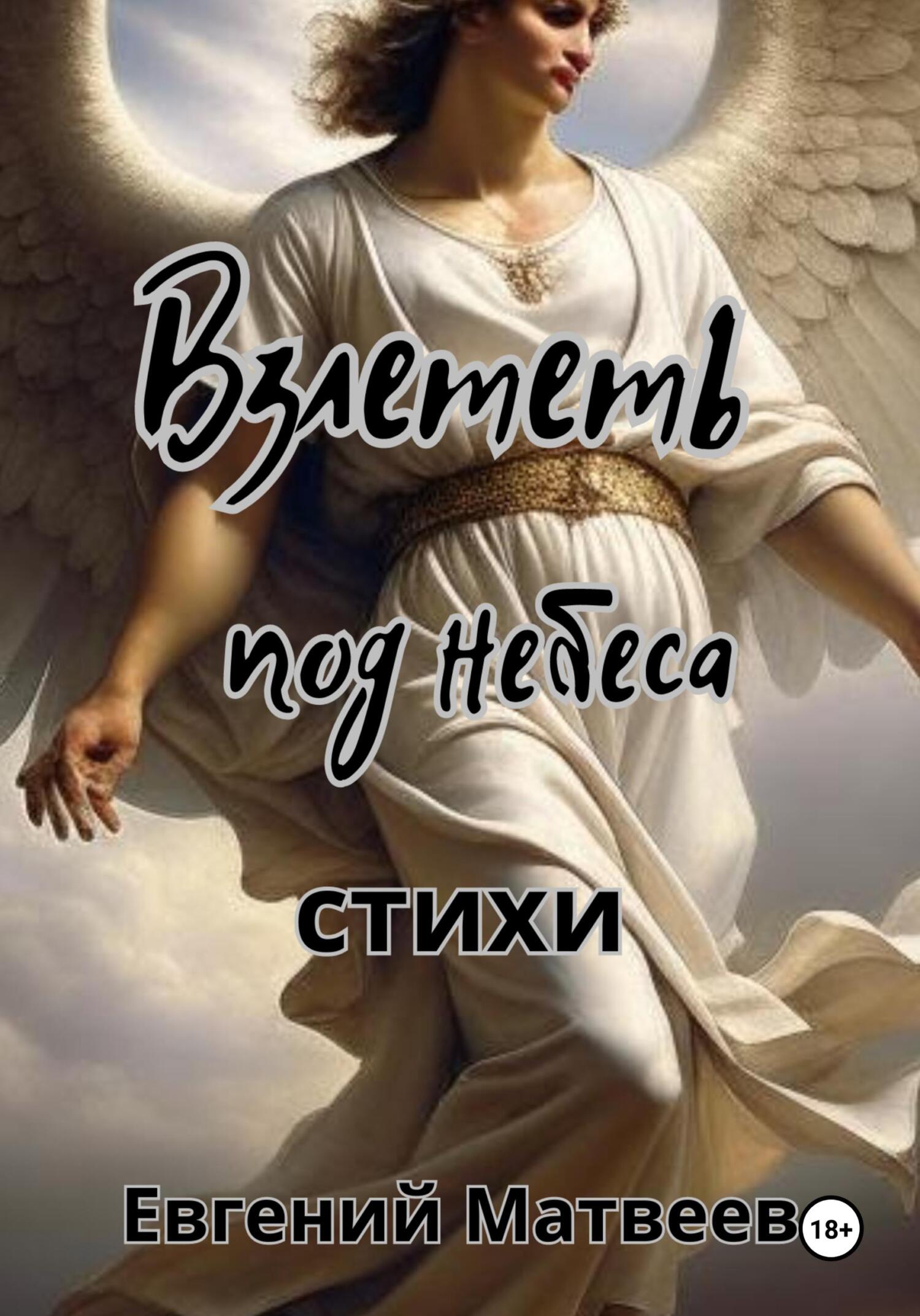 читать Взлететь под небеса