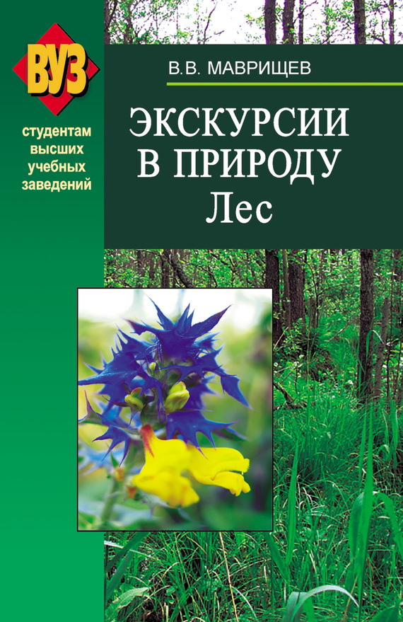 читать Экскурсии в природу. Лес