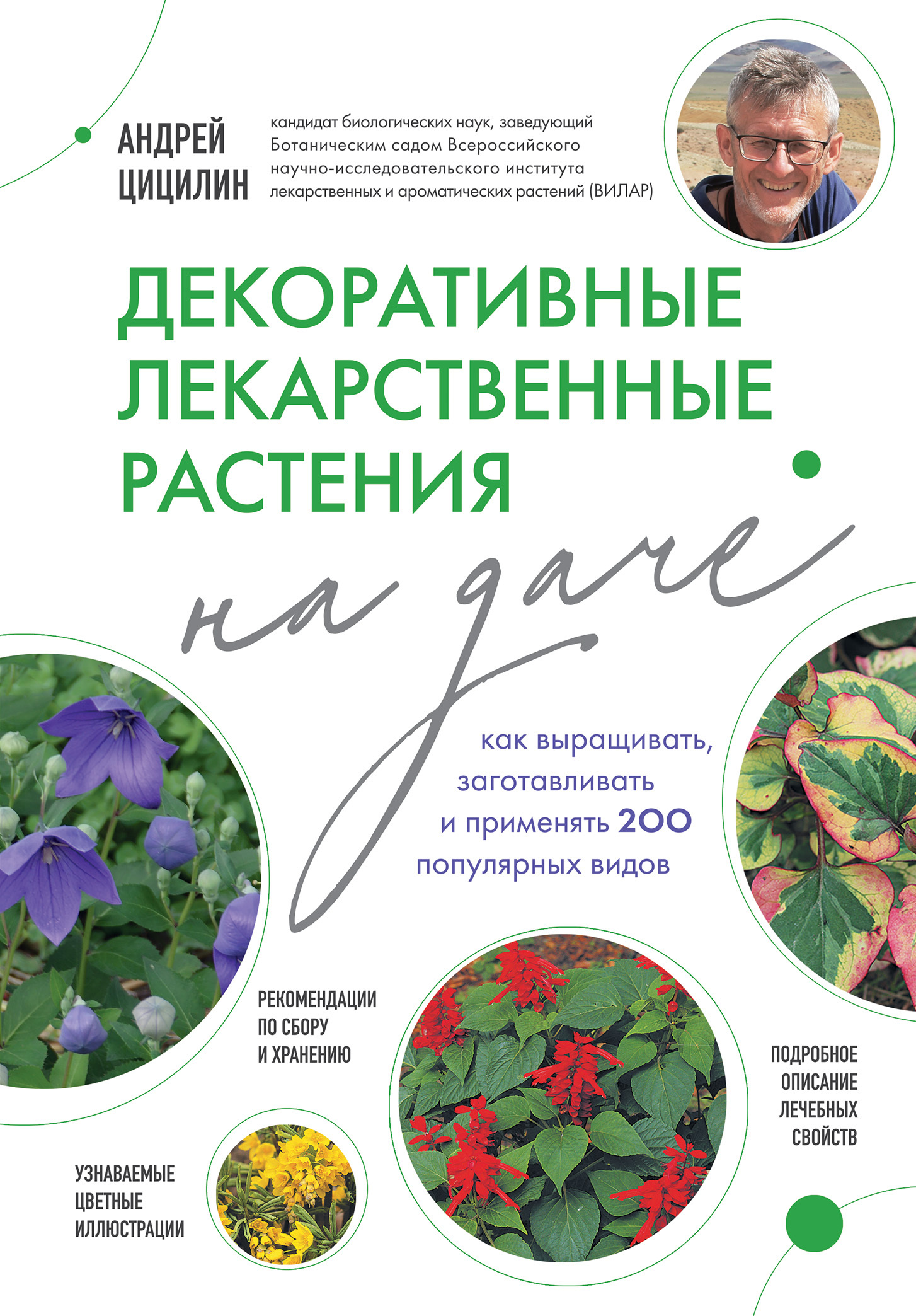 читать Декоративные лекарственные растения на даче. Как выращивать, заготавливать и применять 200 популярных видов