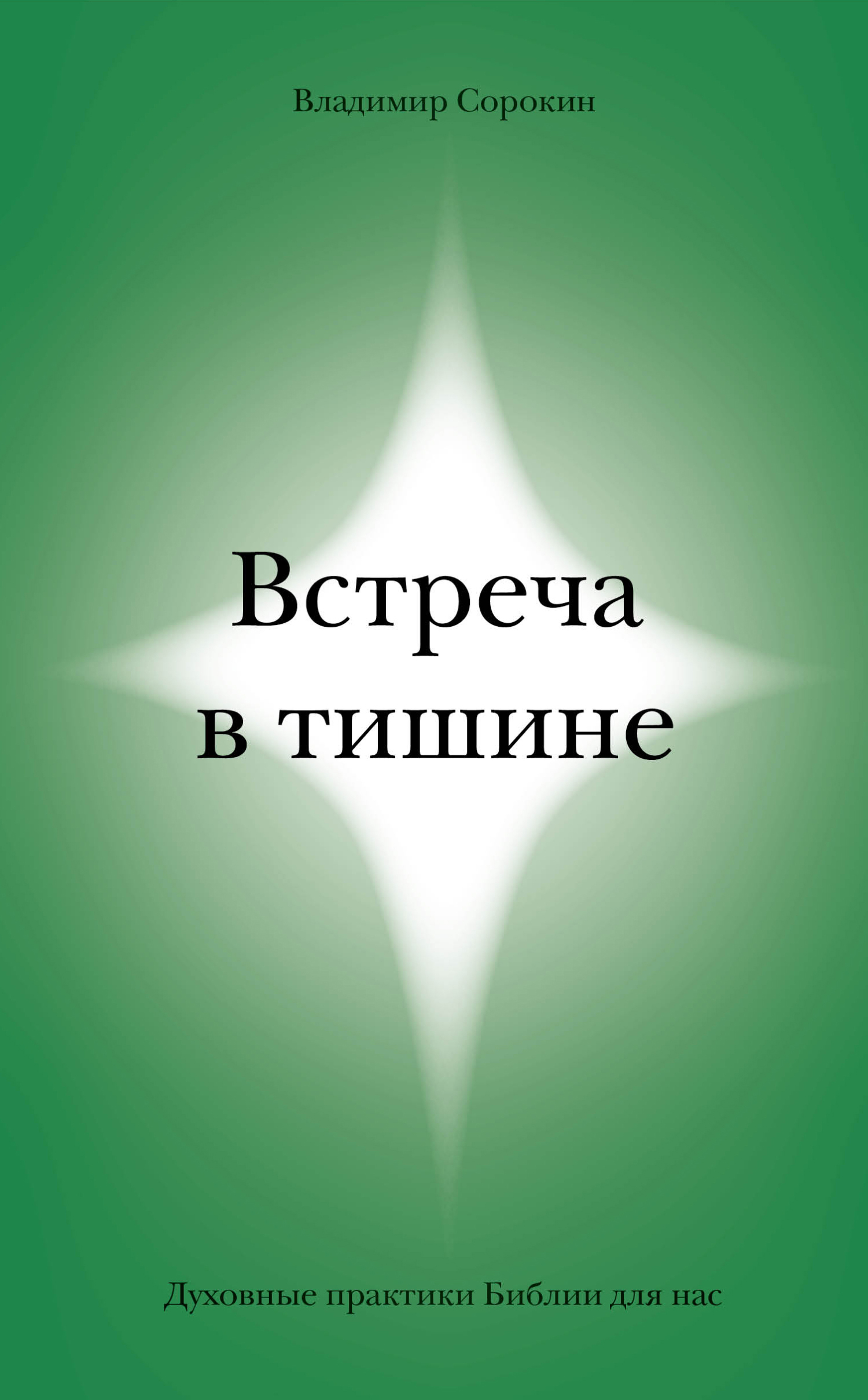 читать Встреча в тишине. Духовные практики Библии для нас