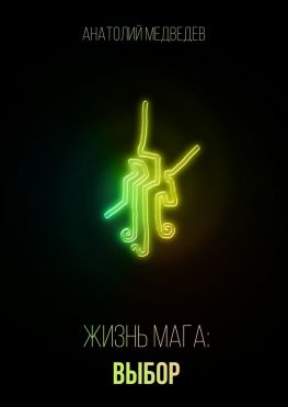 читать Жизнь мага: Выбор