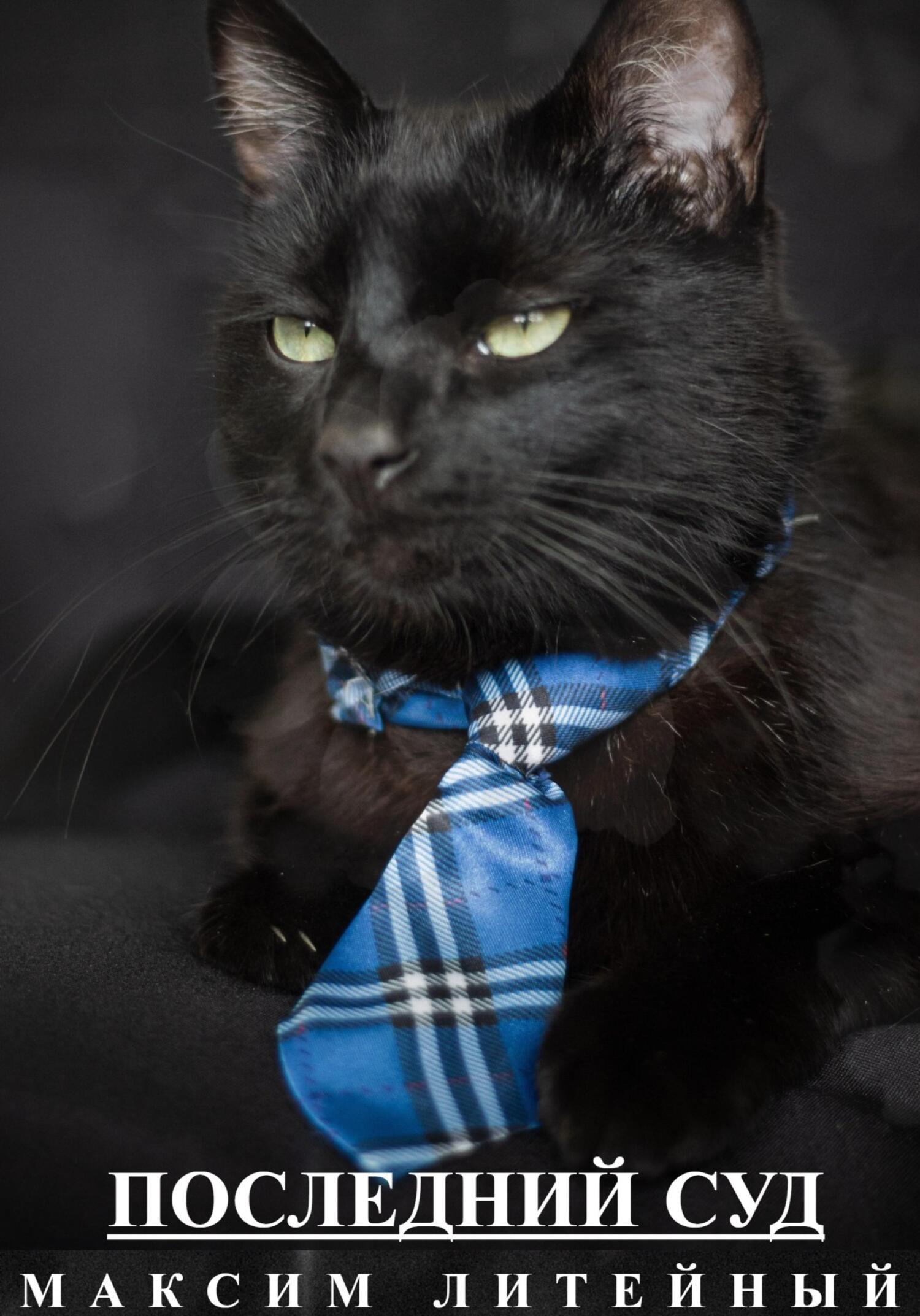 читать Последний суд