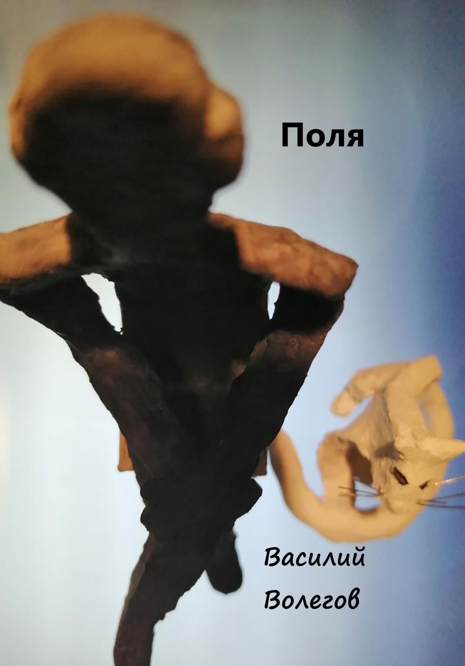 читать Поля