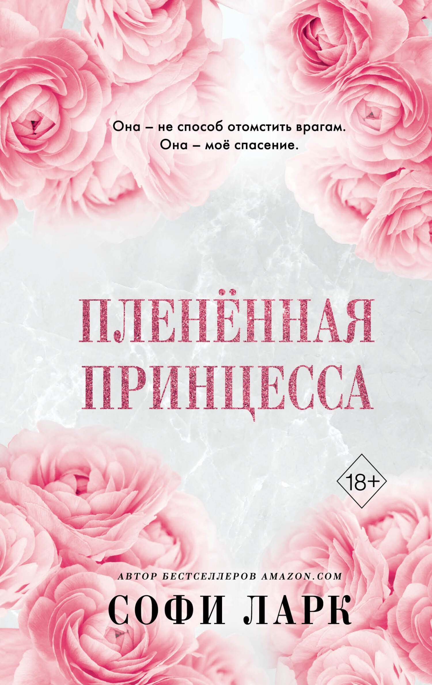 читать Пленённая принцесса