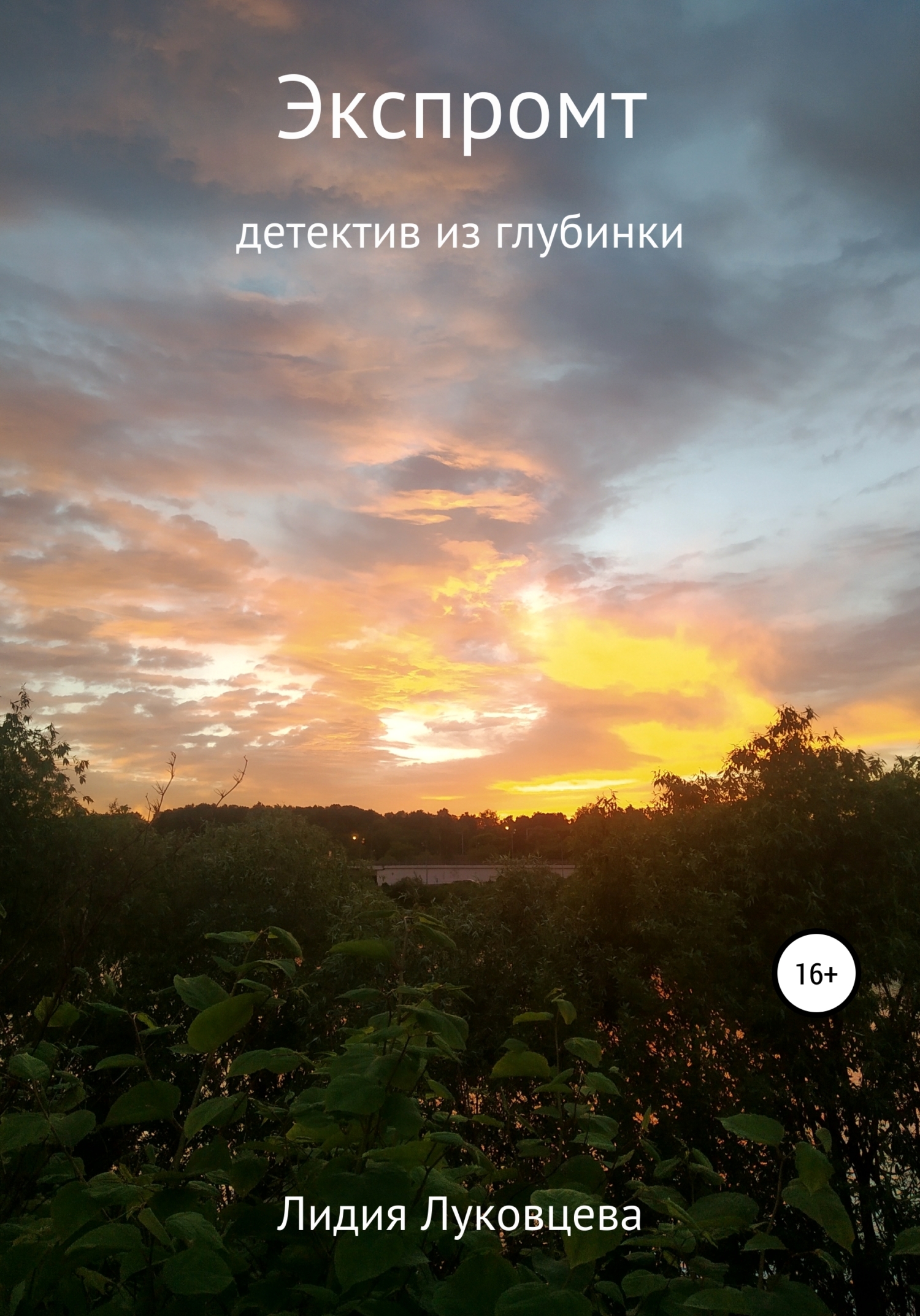 читать Экспромт