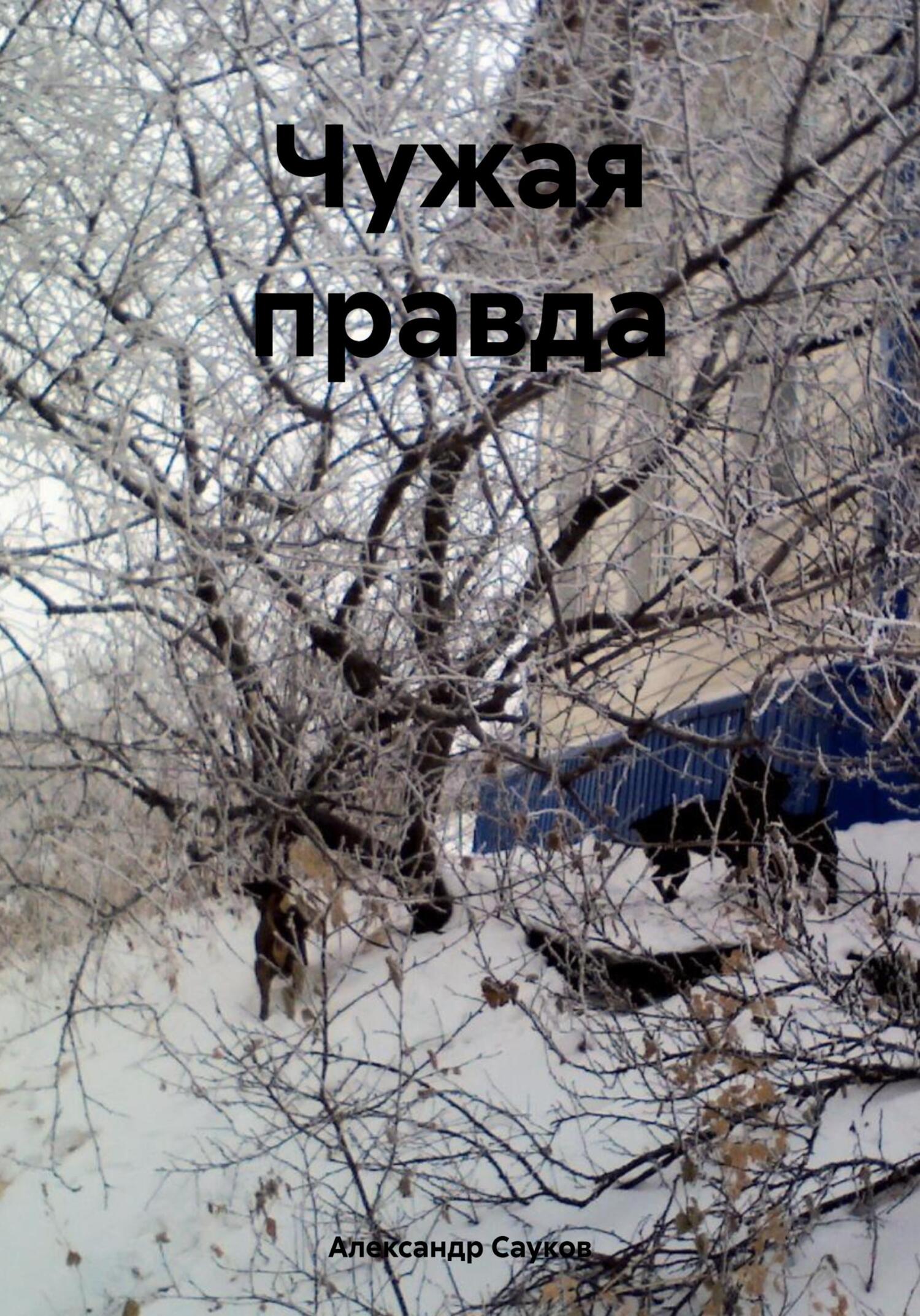 читать Чужая правда