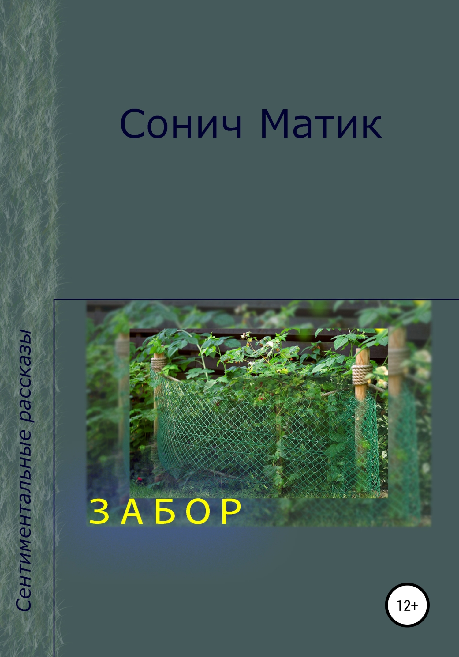читать Забор