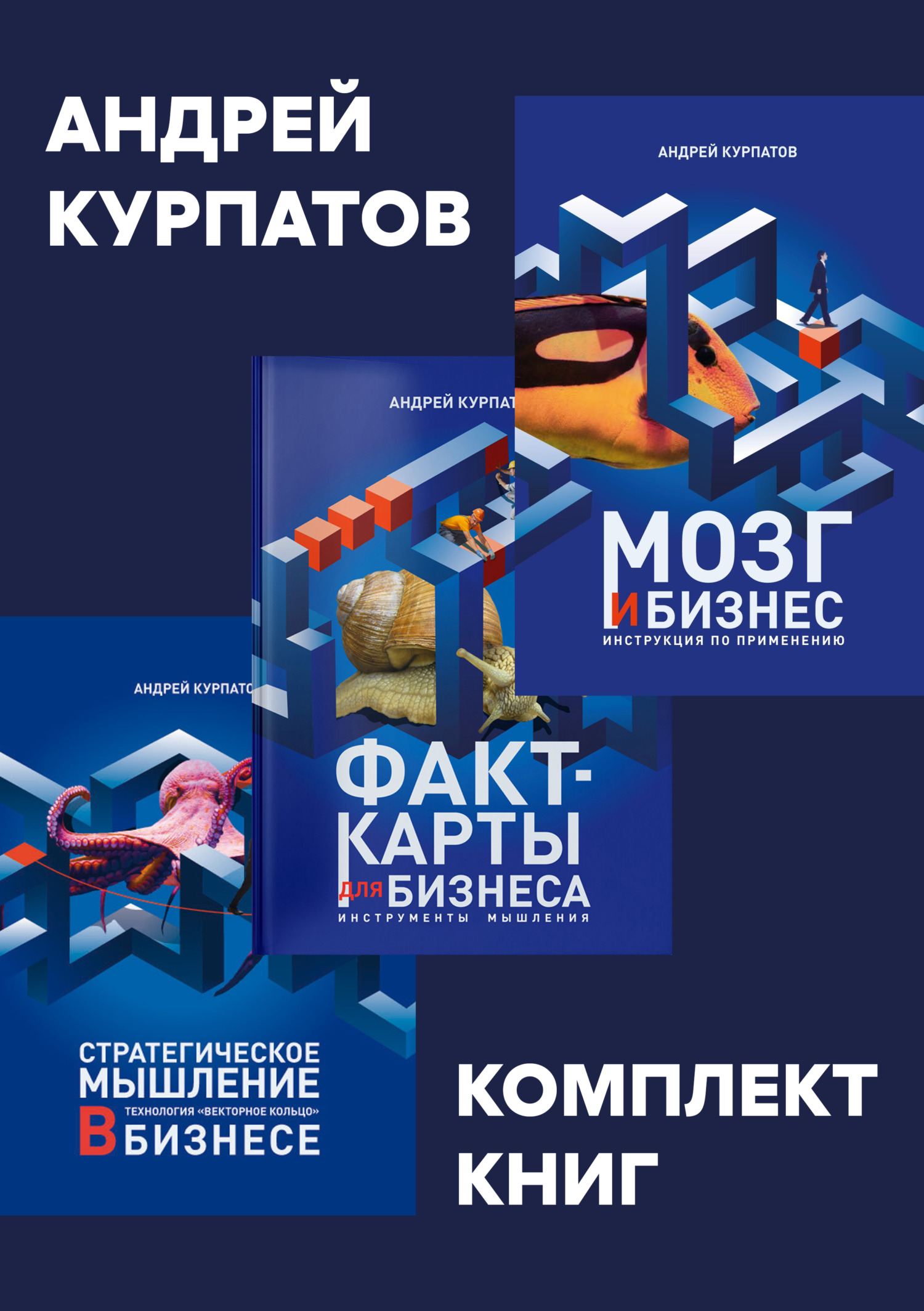 читать Комплект книг: Мозг и бизнес / Факт-карты для бизнеса. Эффективный инструмент решения задач / Стратегическое мышление в бизнесе. Технология «Векторное кольцо»