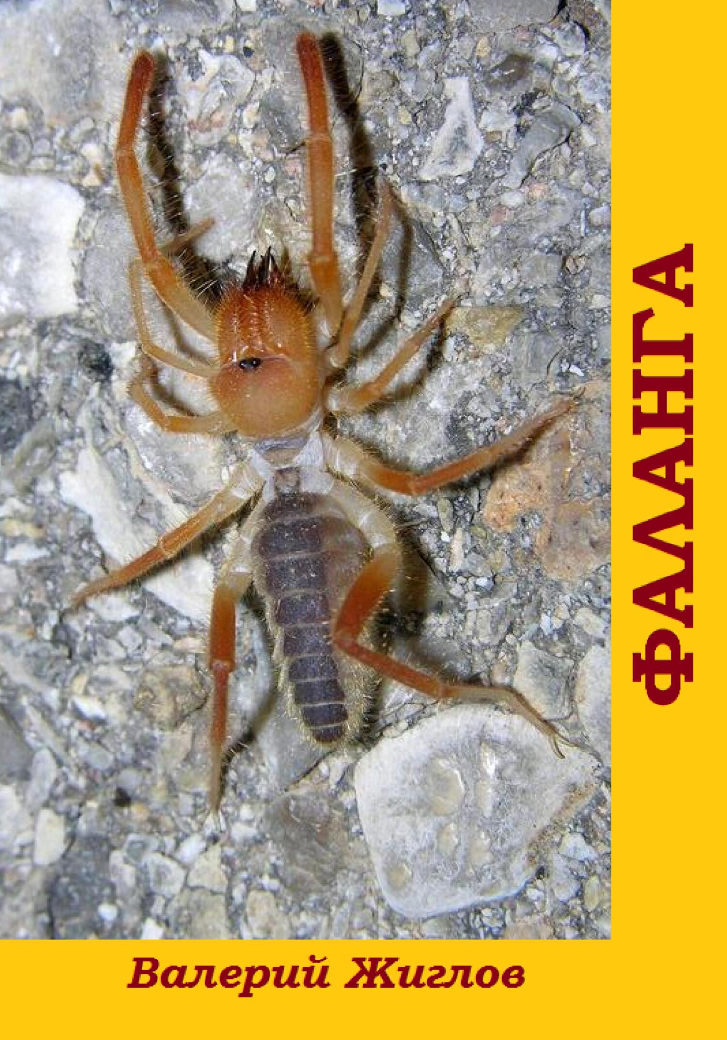 читать Фаланга