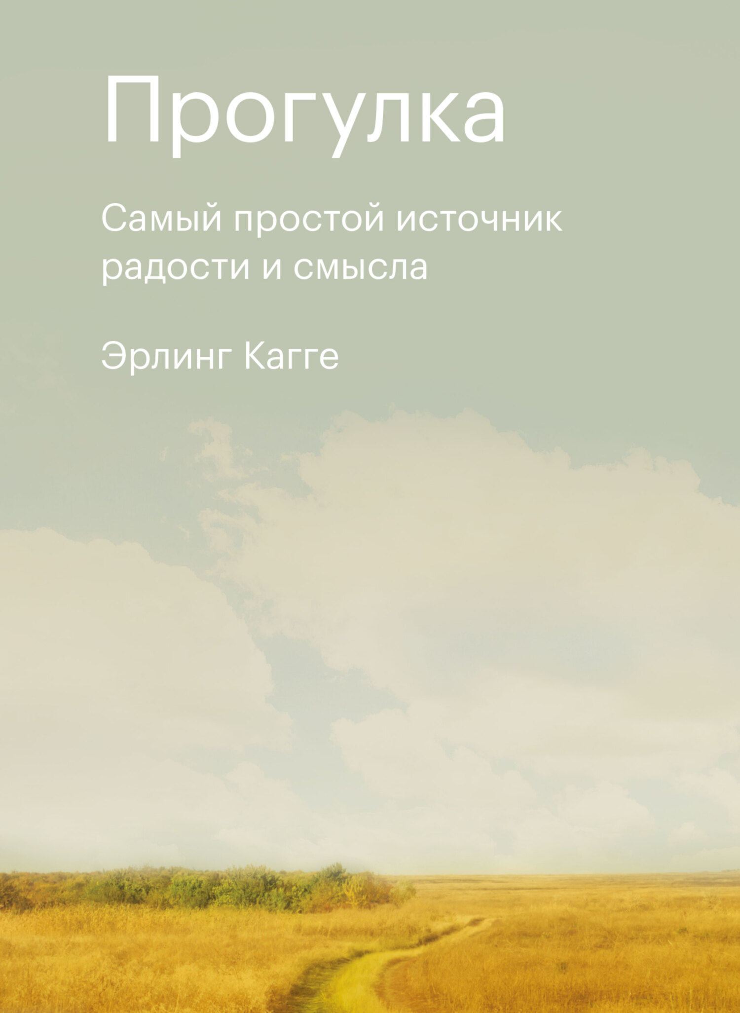 читать Прогулка. Самый простой источник радости и смысла