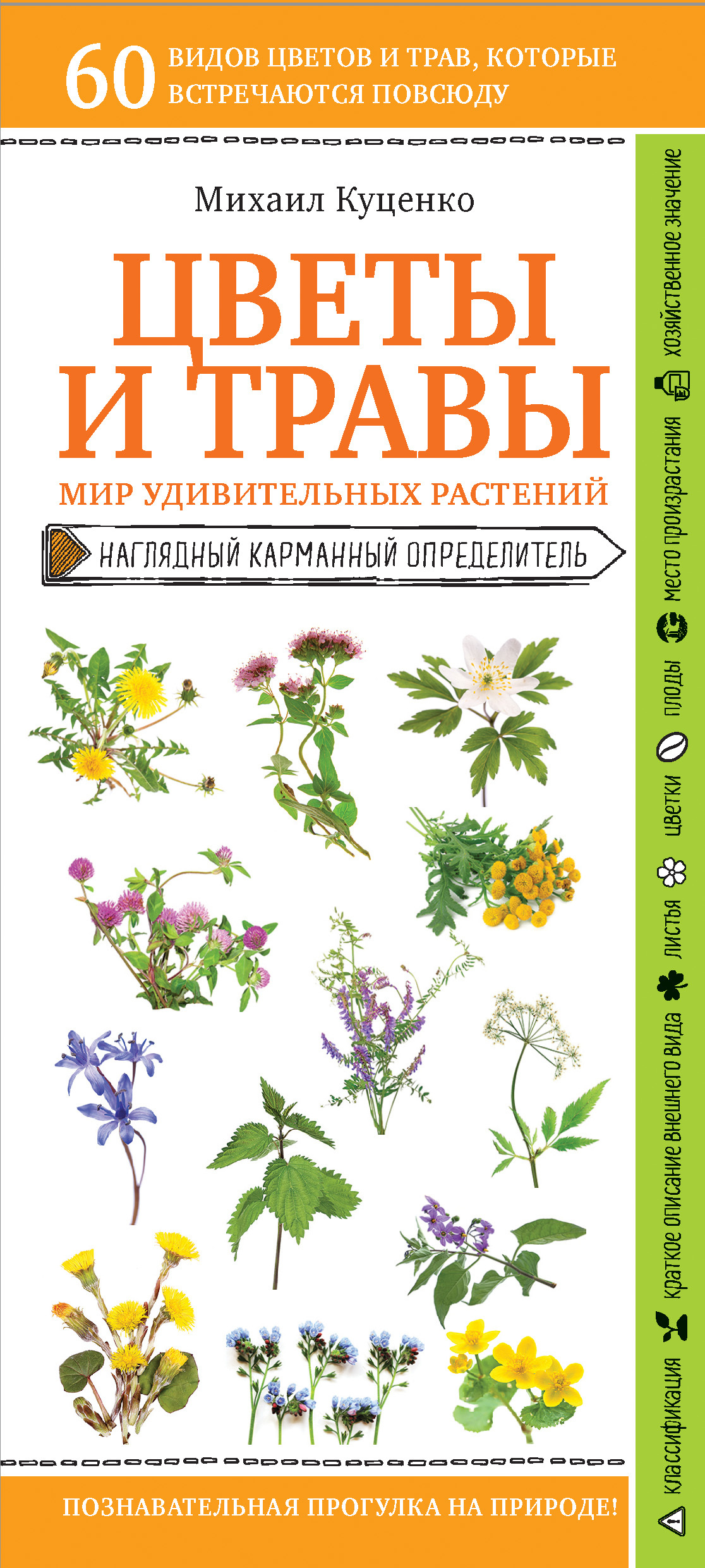 читать Цветы и травы. Мир удивительных растений