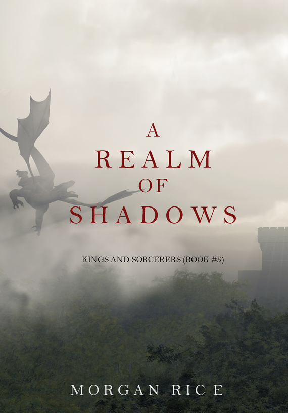 читать A Realm of Shadows