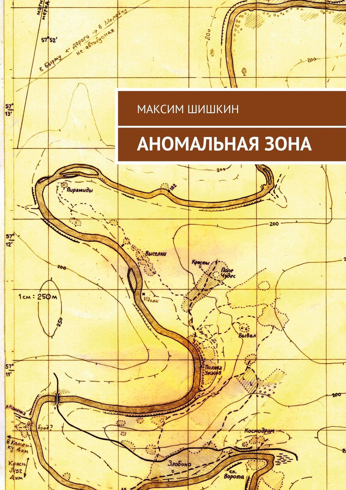 читать Аномальная зона