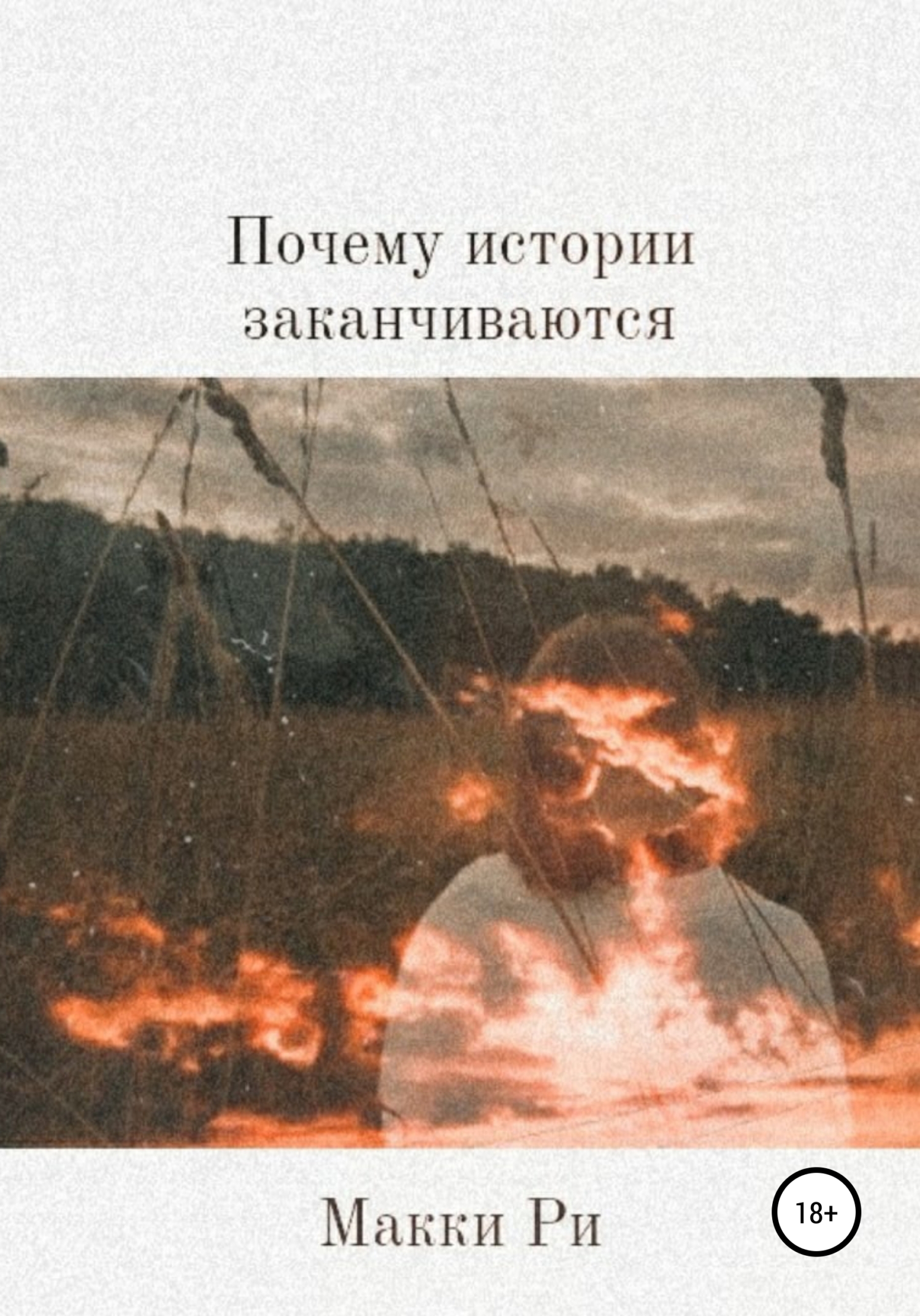 читать Почему истории заканчиваются