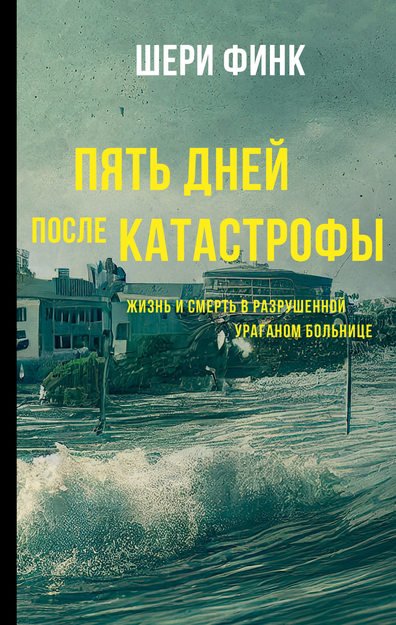 читать Пять дней после катастрофы. Жизнь и смерть в разрушенной ураганом больнице