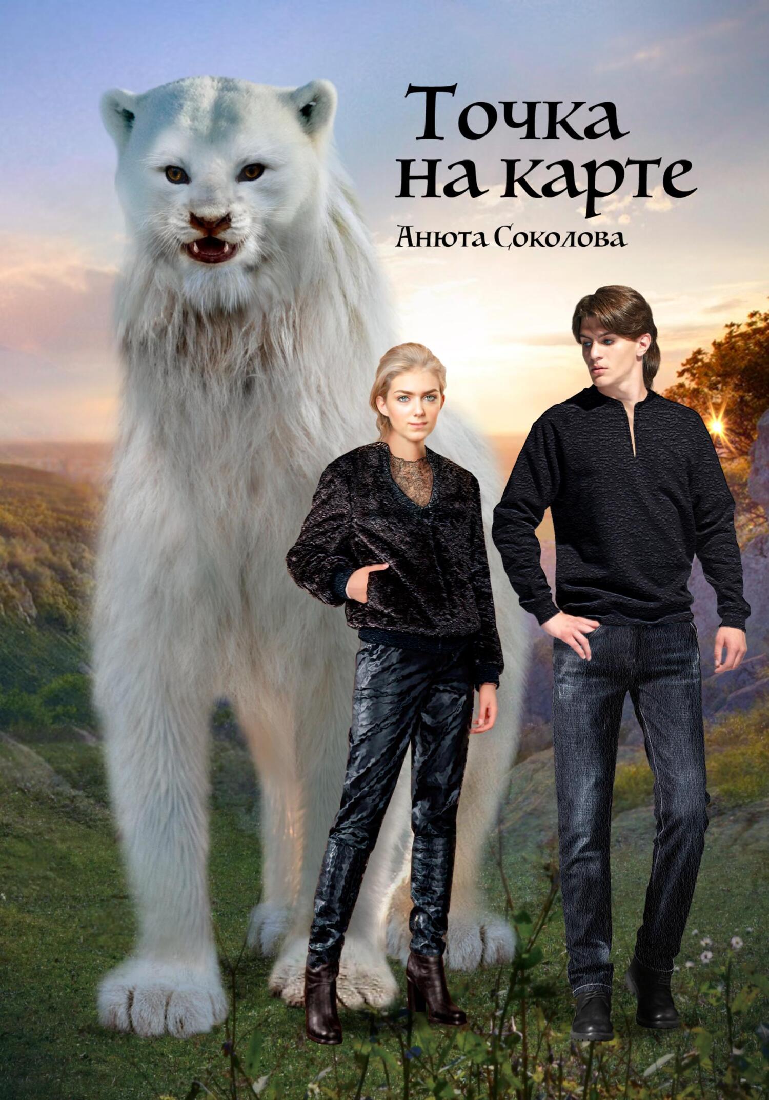 читать Точка на карте