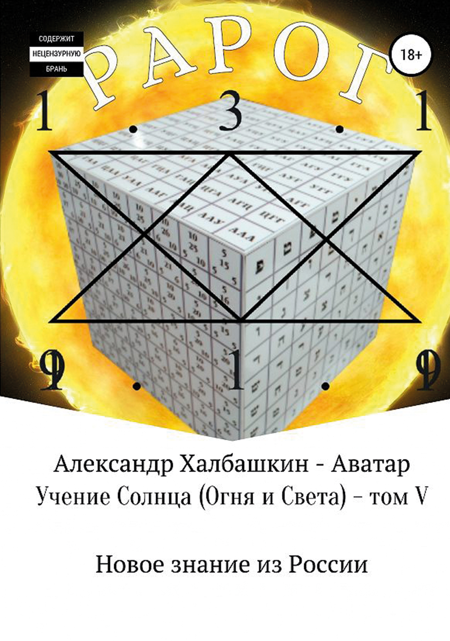 читать Учение Света (Огня и Света). Том V