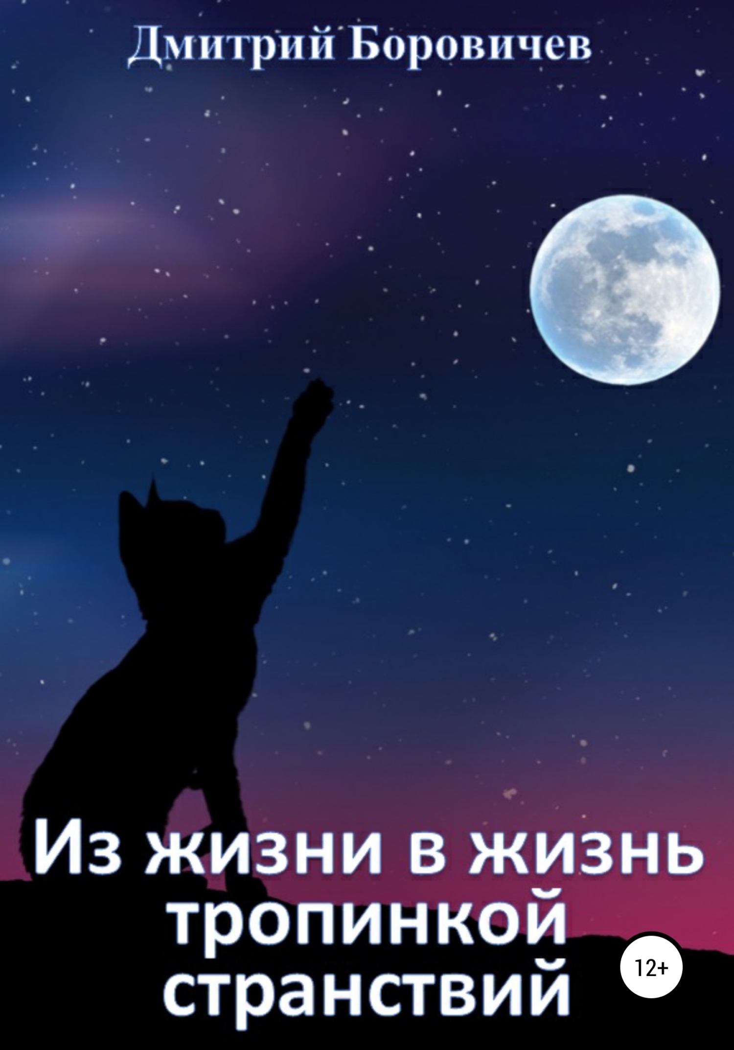читать Из жизни в жизнь тропинкой странствий