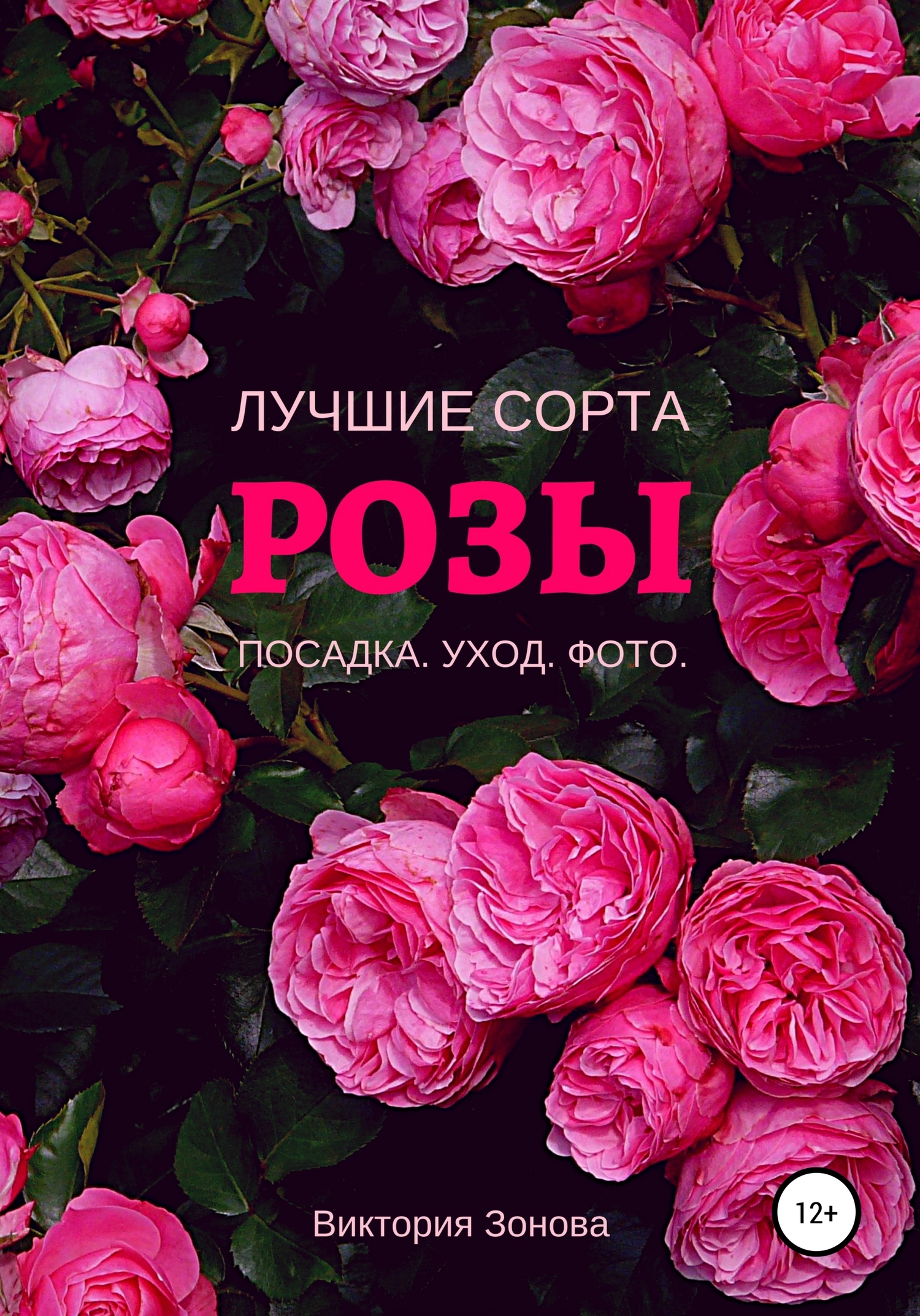 читать Розы. Лучшие сорта