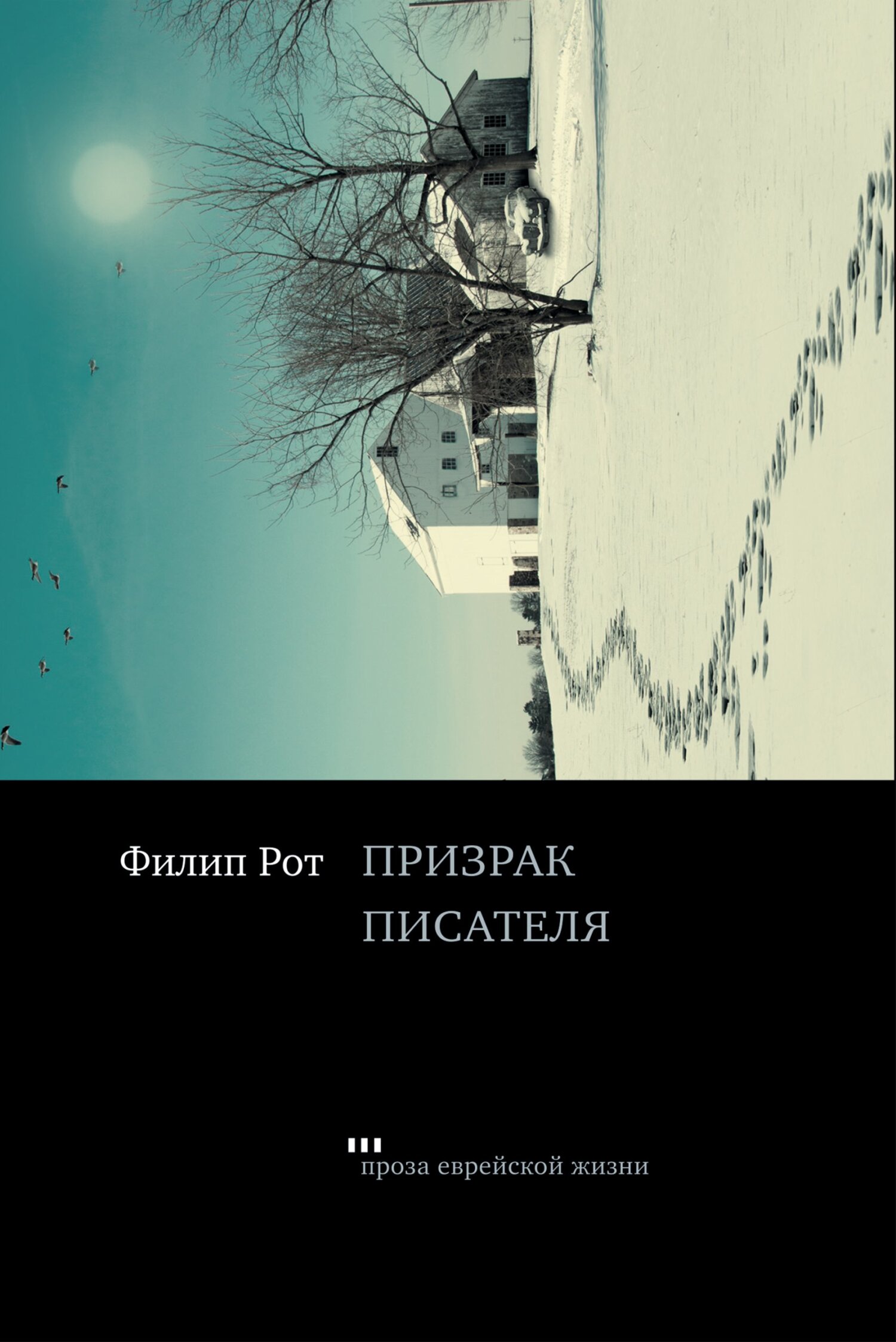 читать Призрак писателя