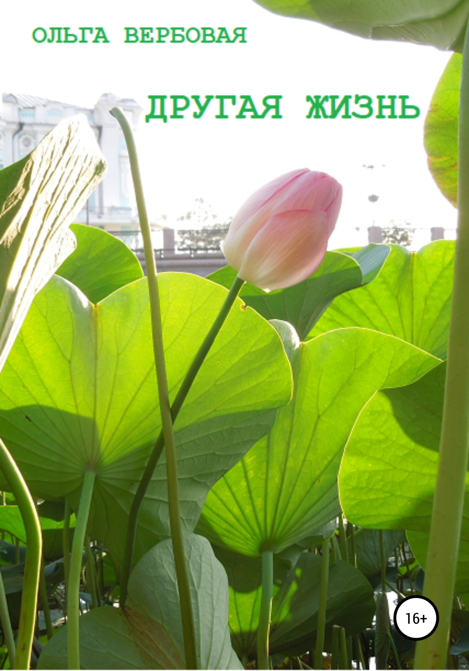 читать Другая жизнь