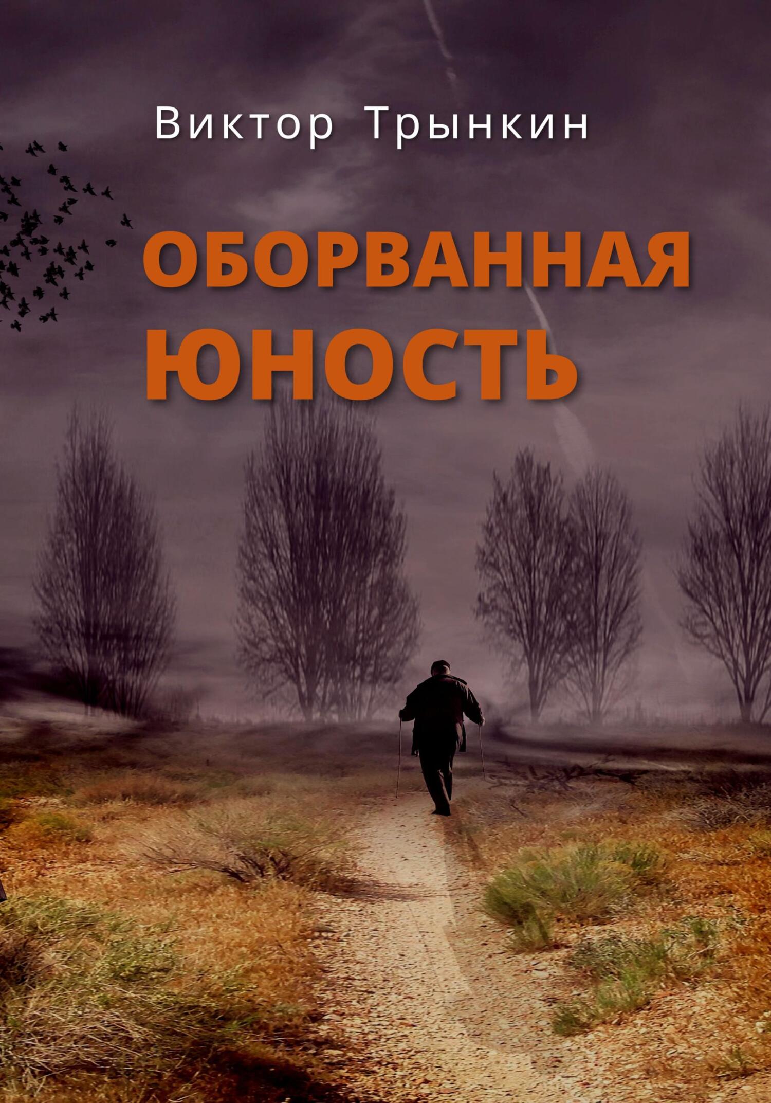 читать Оборванная юность