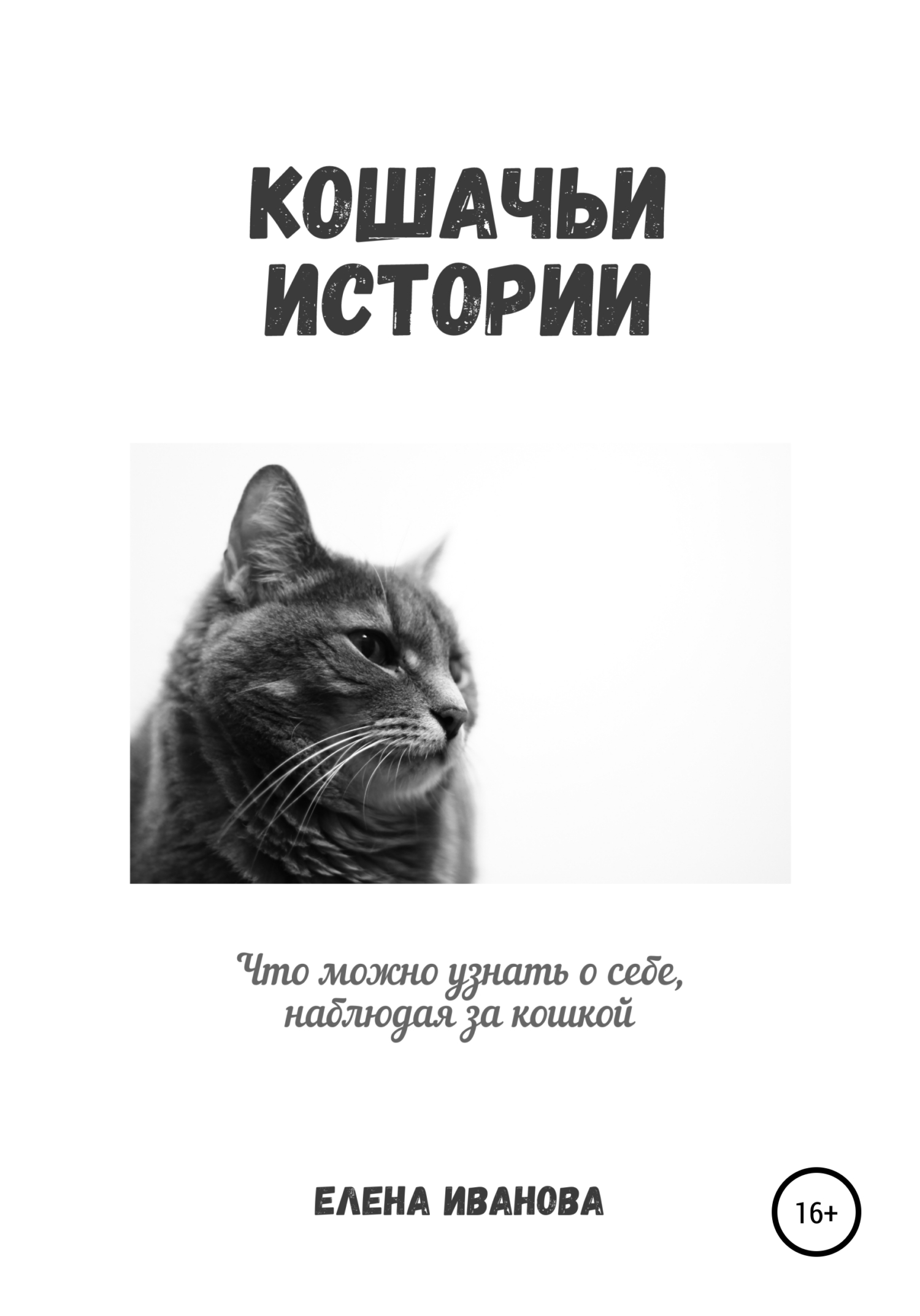 читать Кошачьи истории