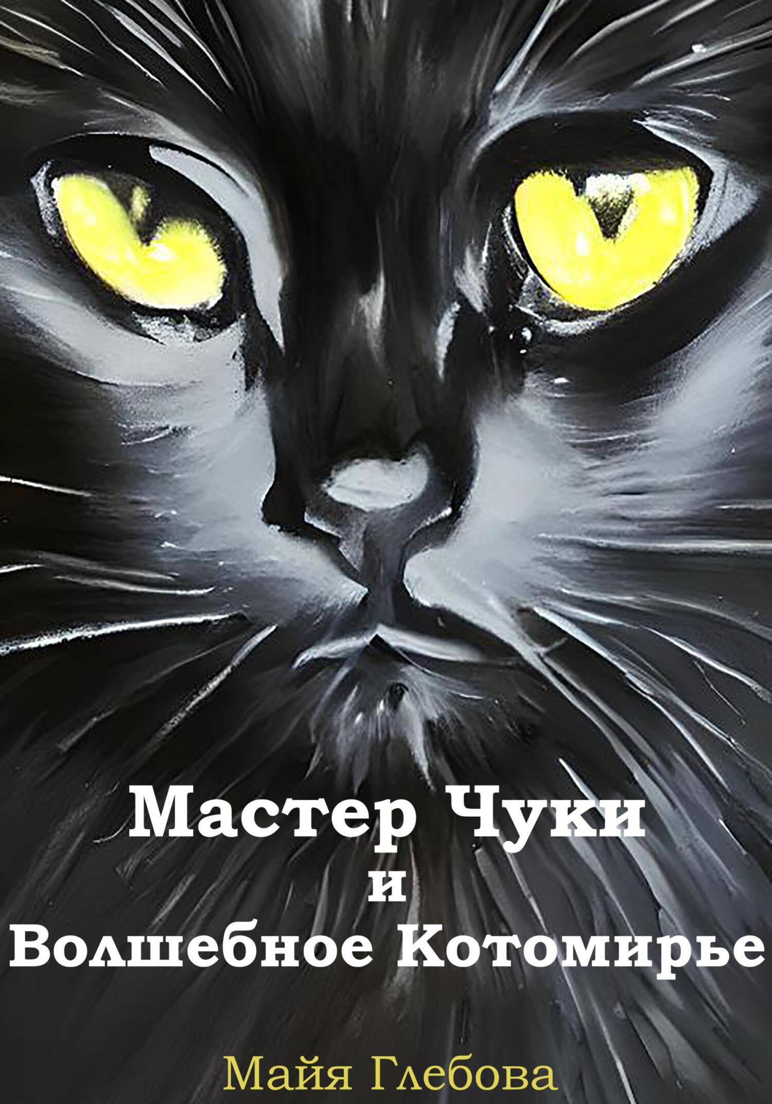 читать Мастер Чуки и Волшебное Котомирье
